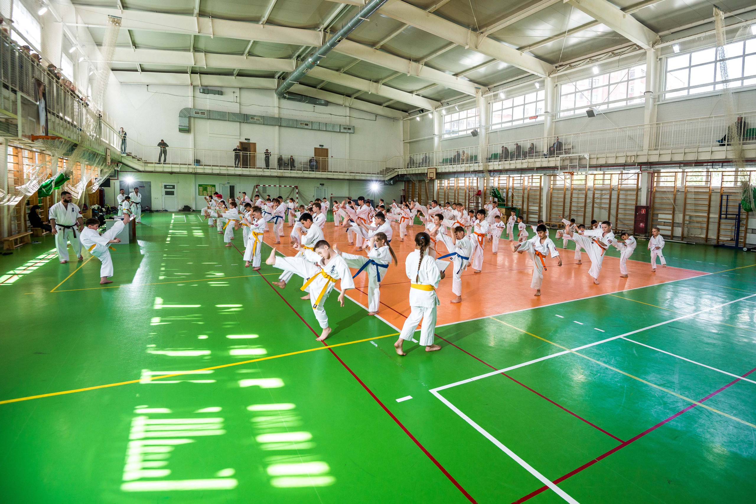 Аттестация киокошинкай клуб «ИППОН», Екатеринбург. Свадебный фотограф на Урале Виктор Соколов