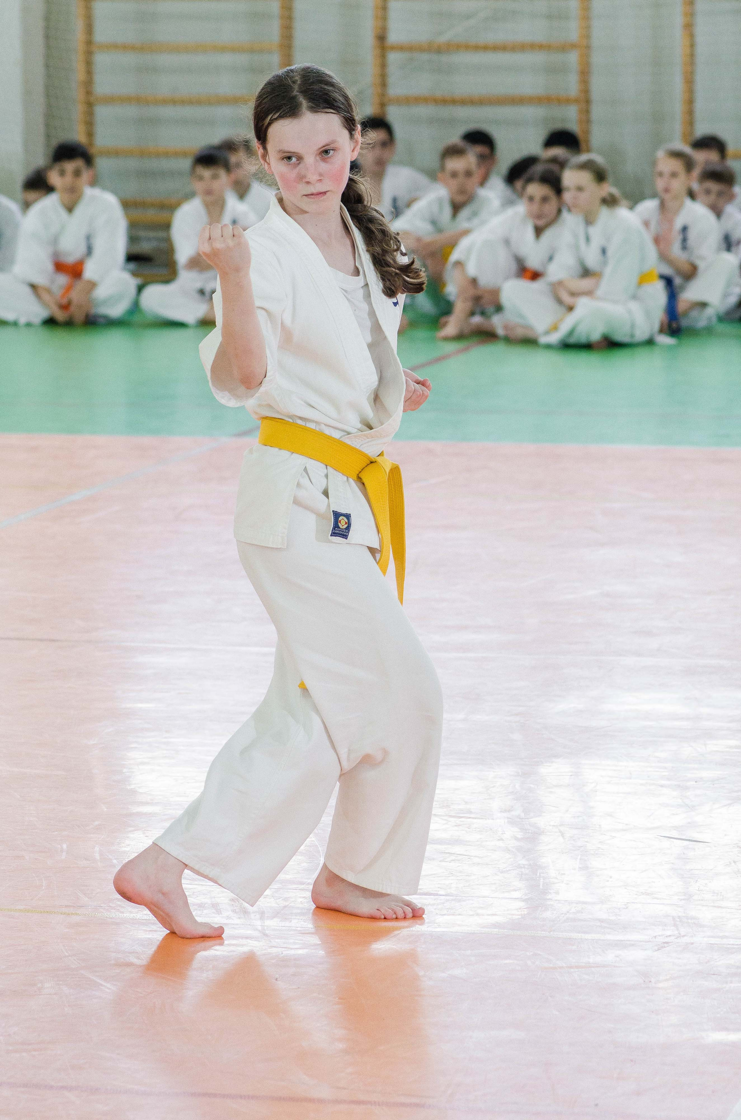 Аттестация киокошинкай клуб «ИППОН», Екатеринбург. Свадебный фотограф на Урале Виктор Соколов