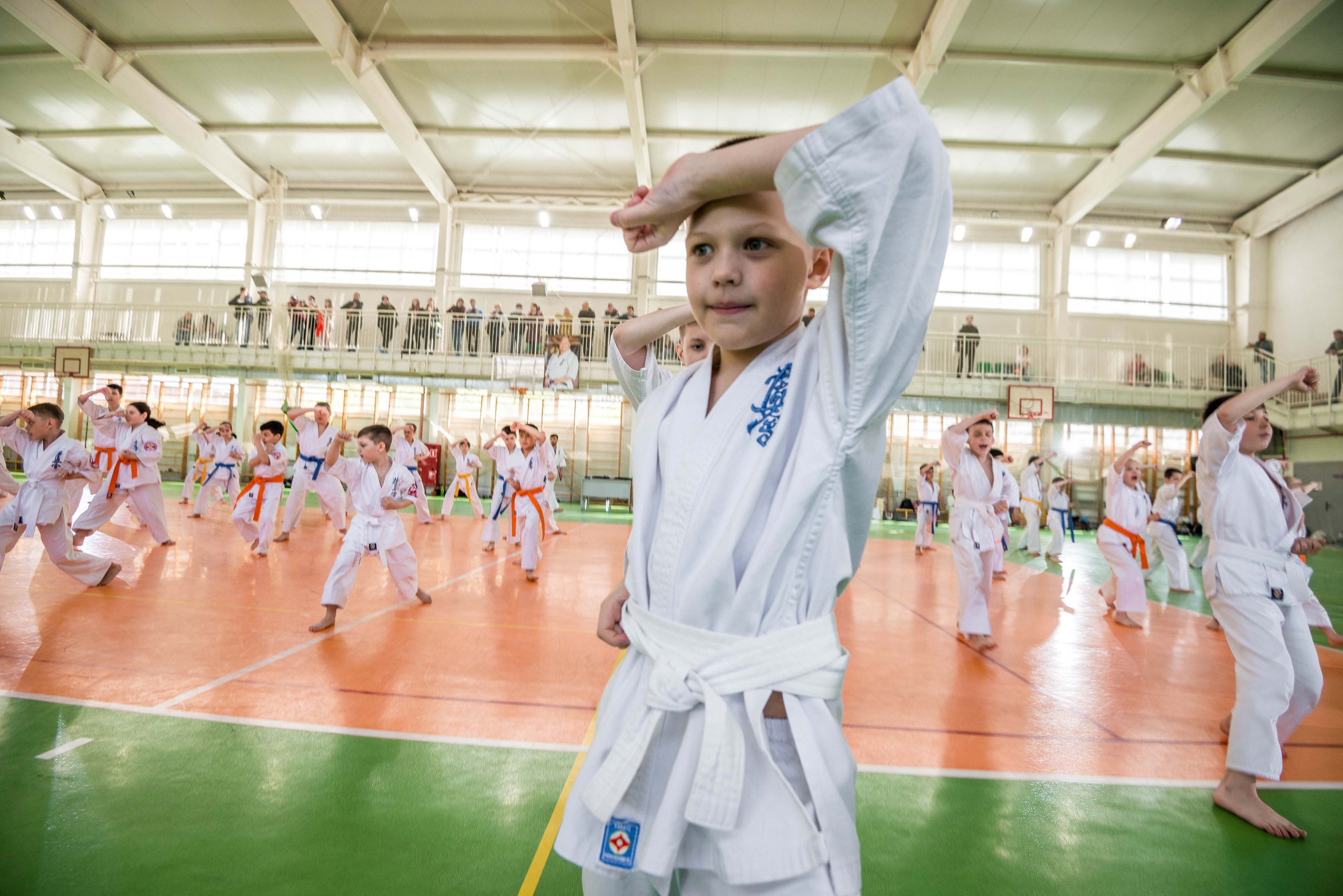 Аттестация киокошинкай клуб «ИППОН», Екатеринбург. Свадебный фотограф на Урале Виктор Соколов