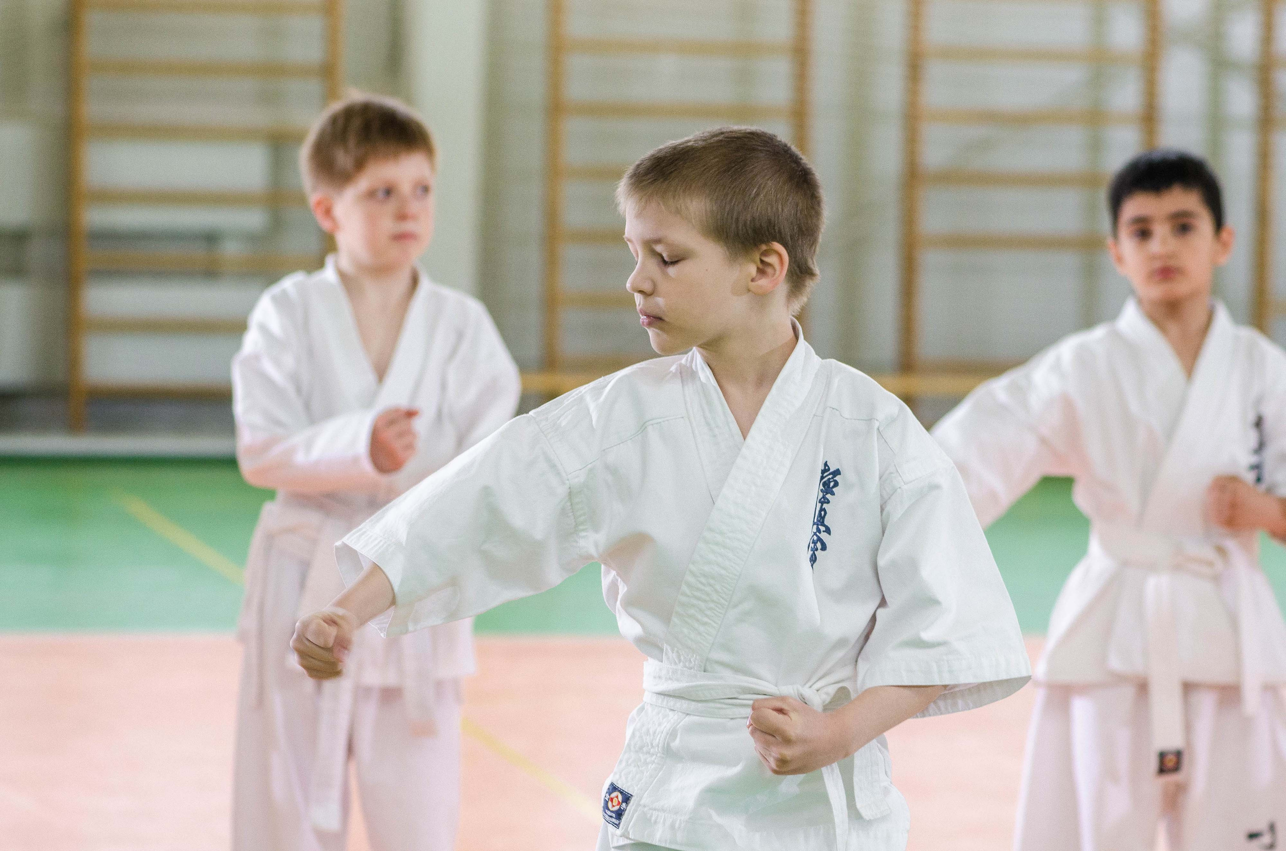 Аттестация киокошинкай клуб «ИППОН», Екатеринбург. Свадебный фотограф на Урале Виктор Соколов