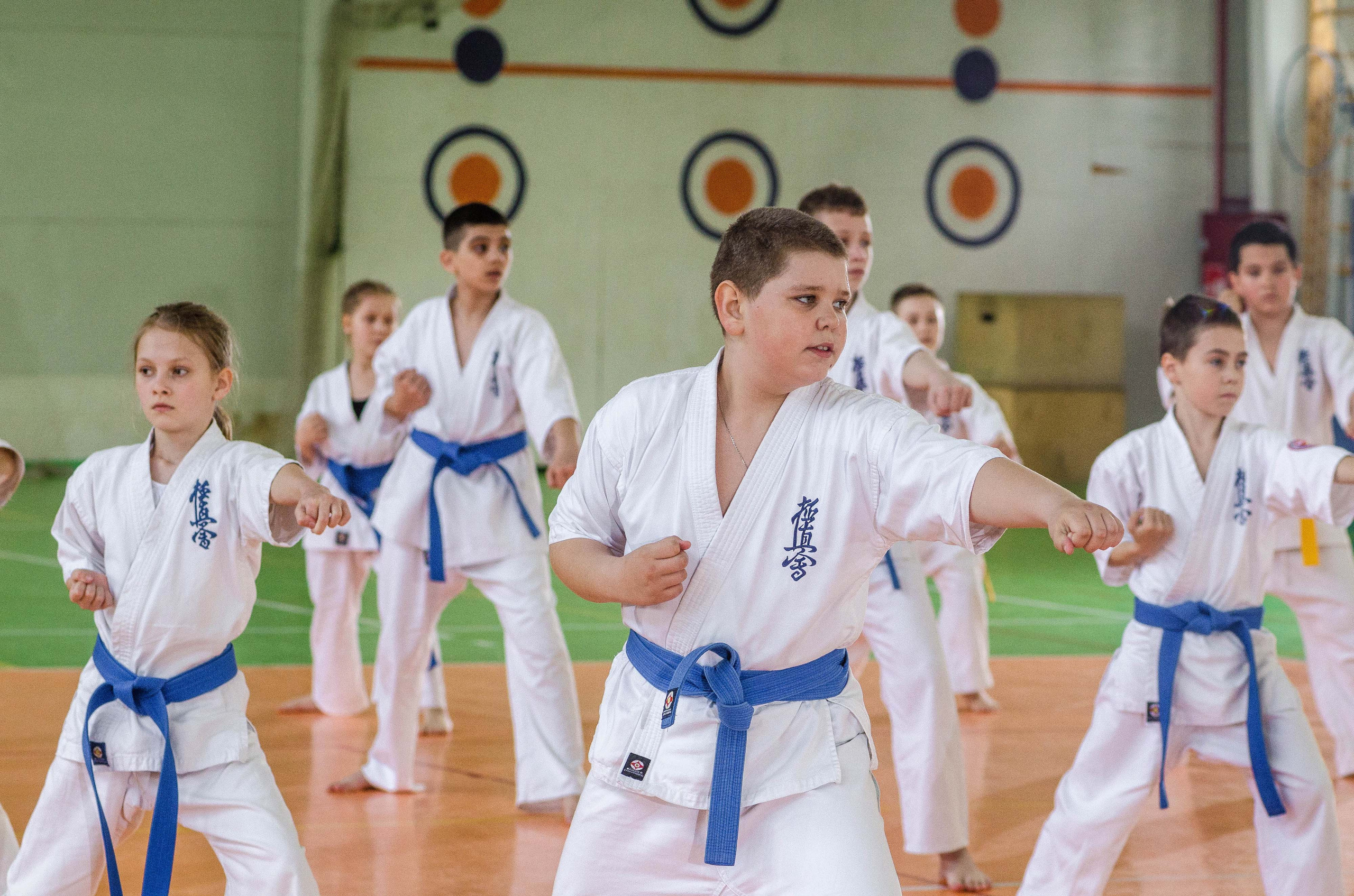 Аттестация киокошинкай клуб «ИППОН», Екатеринбург. Свадебный фотограф на Урале Виктор Соколов