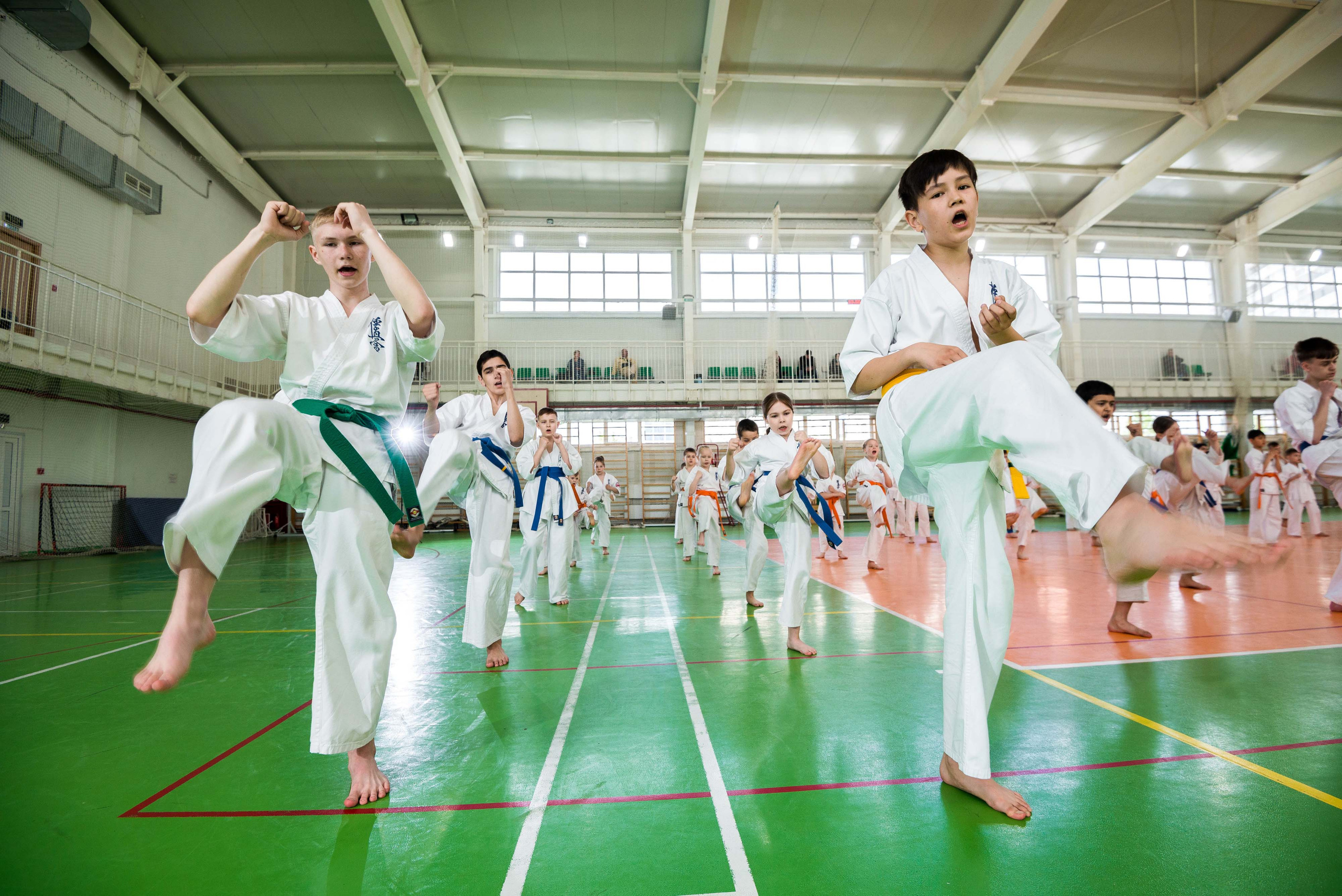 Аттестация киокошинкай клуб «ИППОН», Екатеринбург. Свадебный фотограф на Урале Виктор Соколов