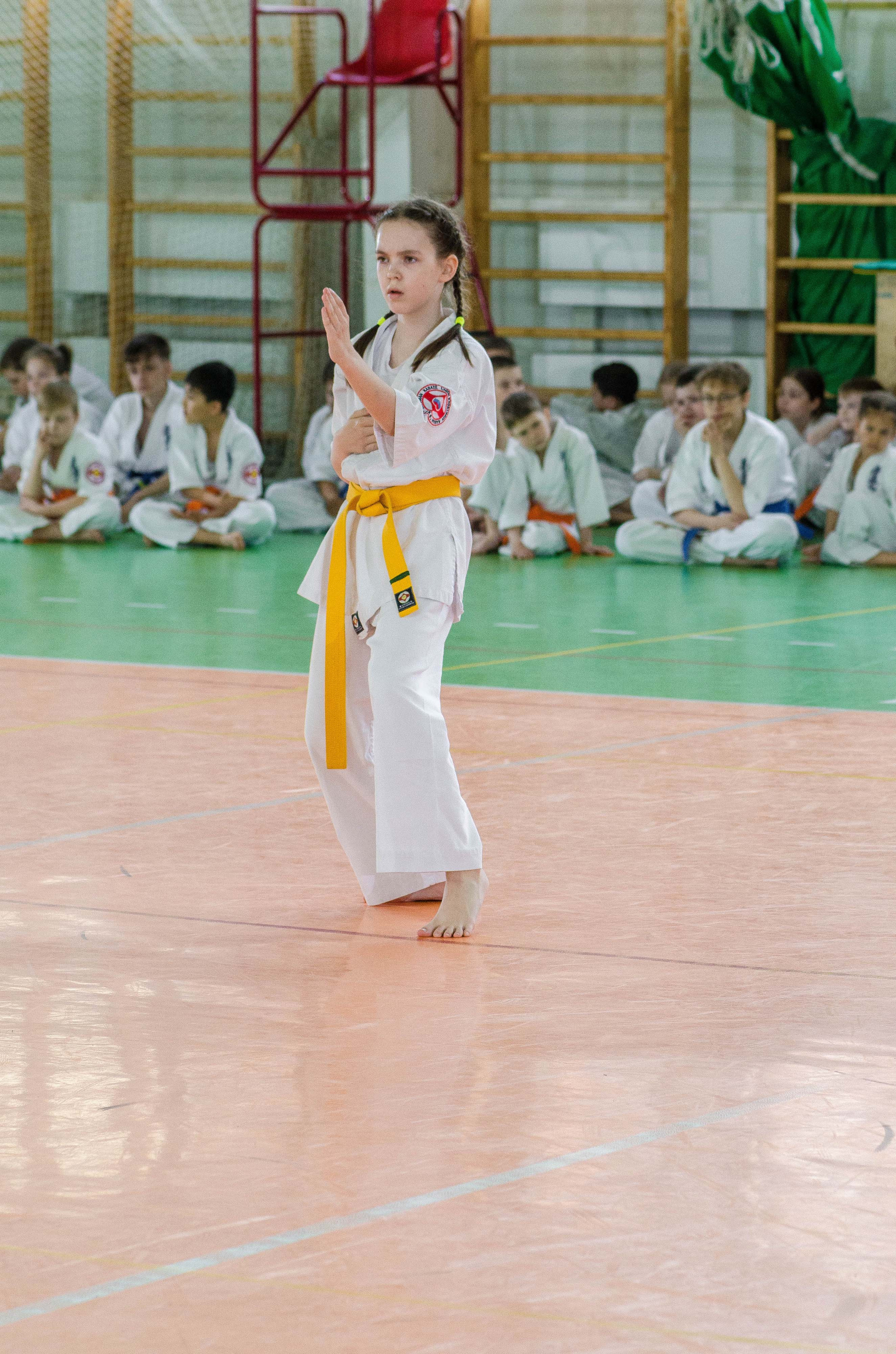 Аттестация киокошинкай клуб «ИППОН», Екатеринбург. Свадебный фотограф на Урале Виктор Соколов