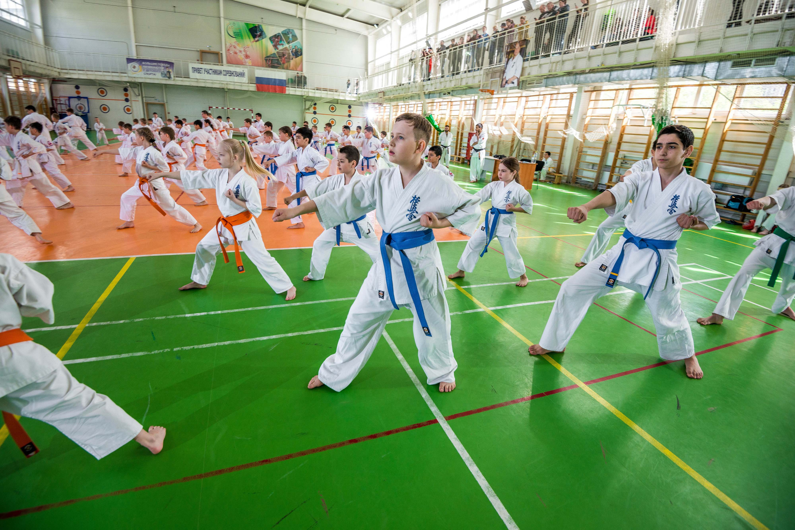 Аттестация киокошинкай клуб «ИППОН», Екатеринбург. Свадебный фотограф на Урале Виктор Соколов