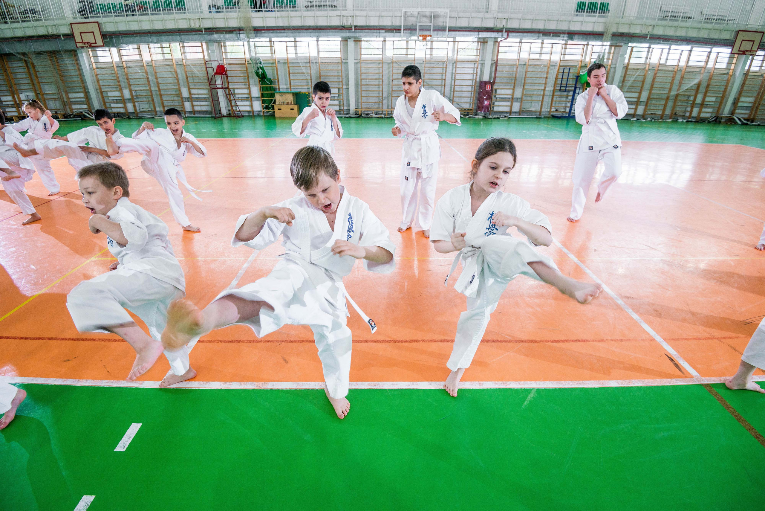 Аттестация киокошинкай клуб «ИППОН», Екатеринбург. Свадебный фотограф на Урале Виктор Соколов