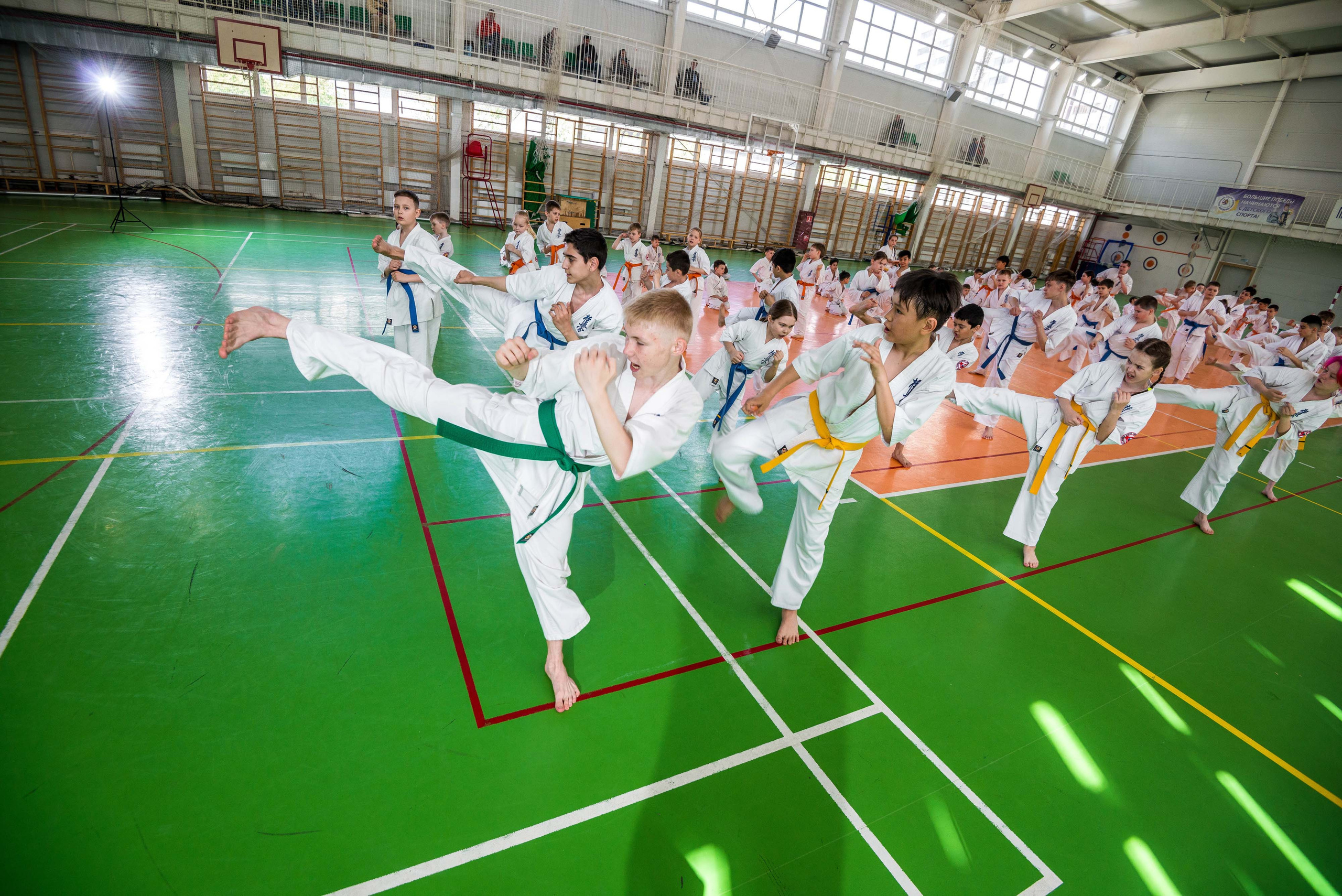 Аттестация киокошинкай клуб «ИППОН», Екатеринбург. Свадебный фотограф на Урале Виктор Соколов