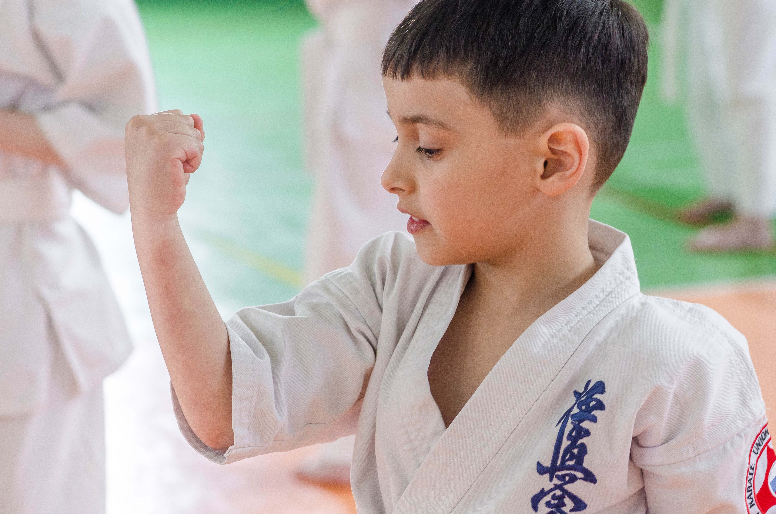 Аттестация киокошинкай клуб «ИППОН», Екатеринбург. Свадебный фотограф на Урале Виктор Соколов