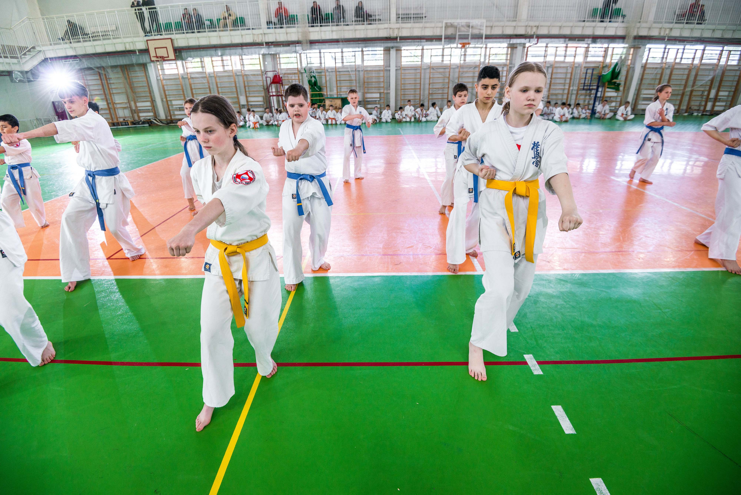 Аттестация киокошинкай клуб «ИППОН», Екатеринбург. Свадебный фотограф на Урале Виктор Соколов