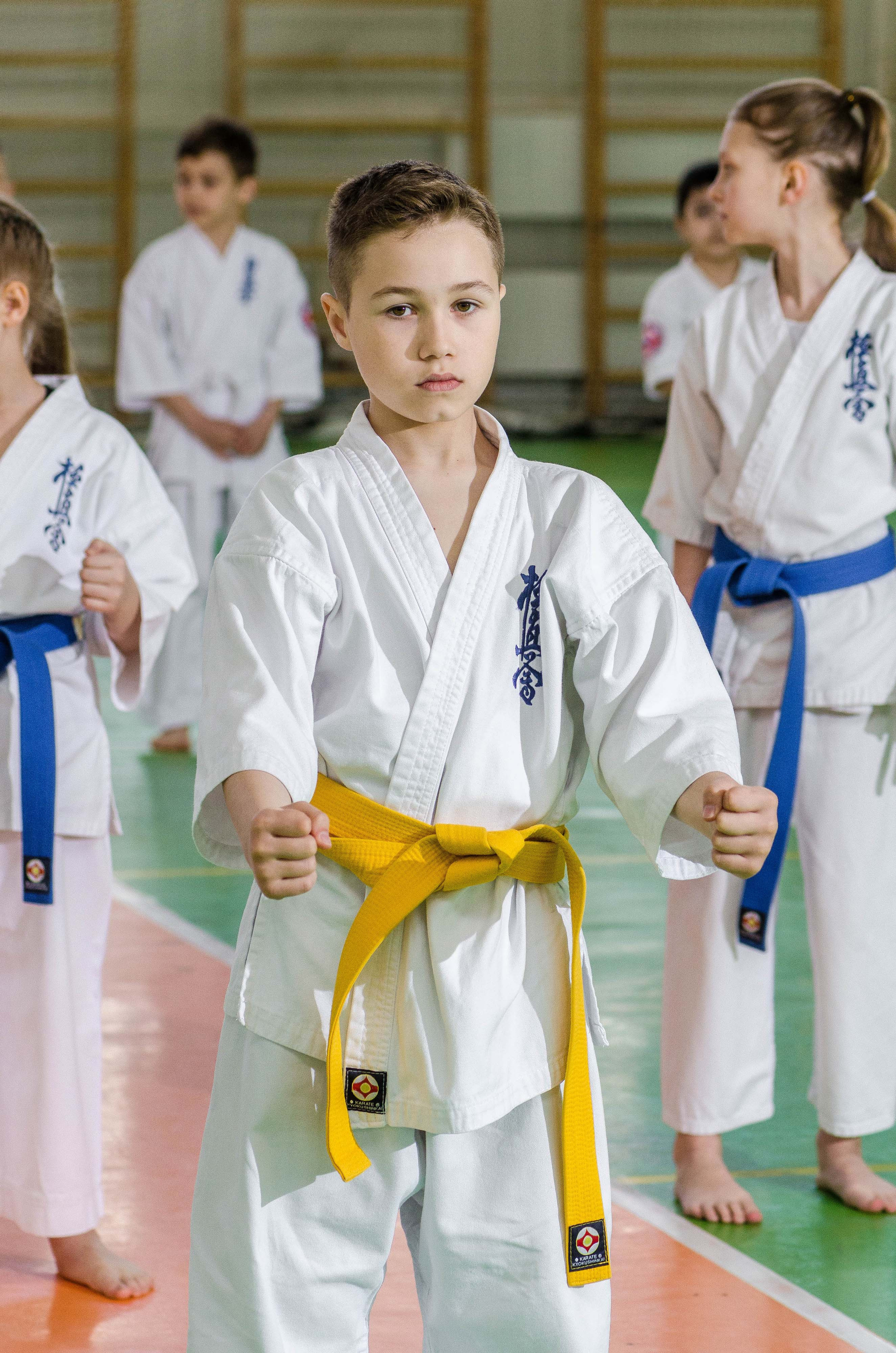 Аттестация киокошинкай клуб «ИППОН», Екатеринбург. Свадебный фотограф на Урале Виктор Соколов