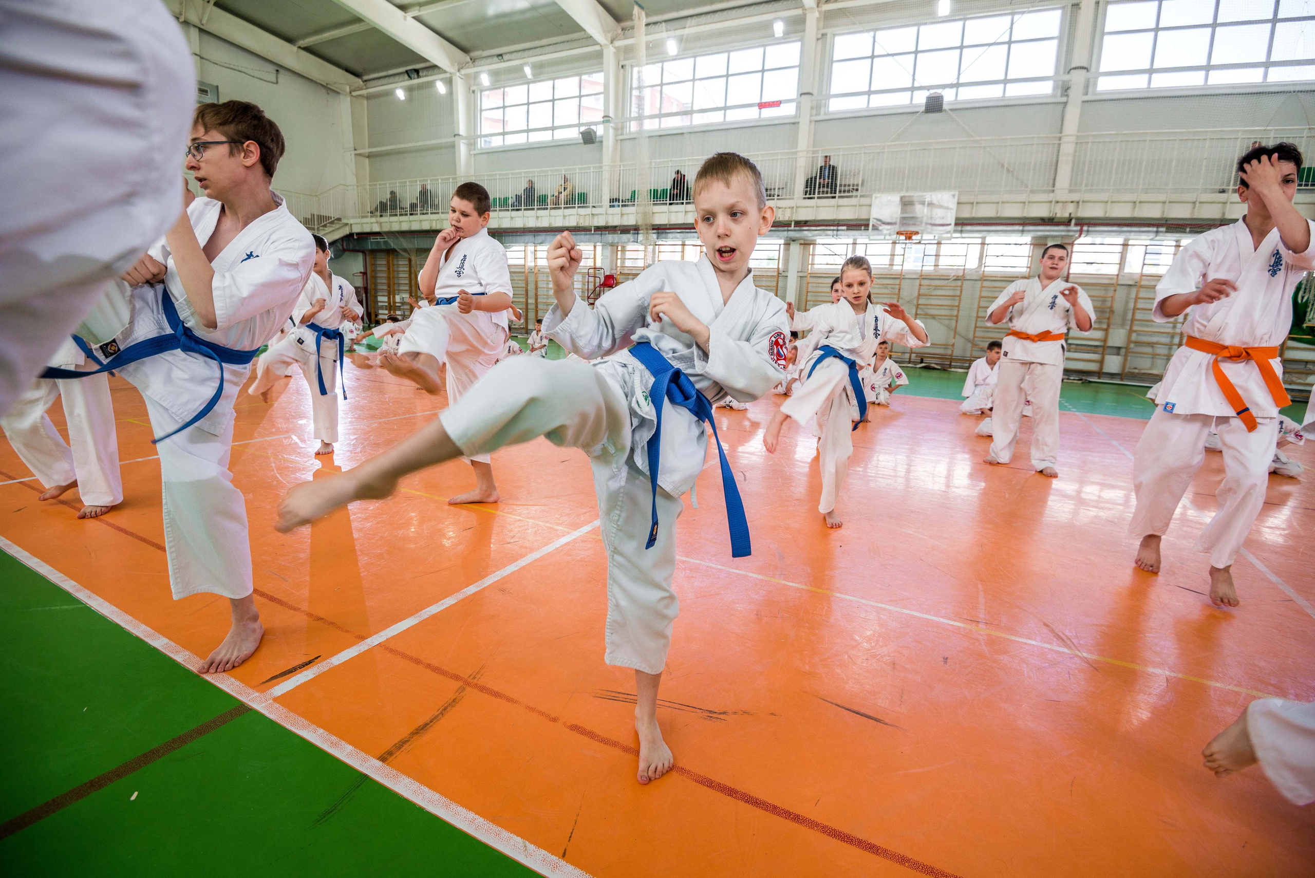 Аттестация киокошинкай клуб «ИППОН», Екатеринбург. Свадебный фотограф на Урале Виктор Соколов