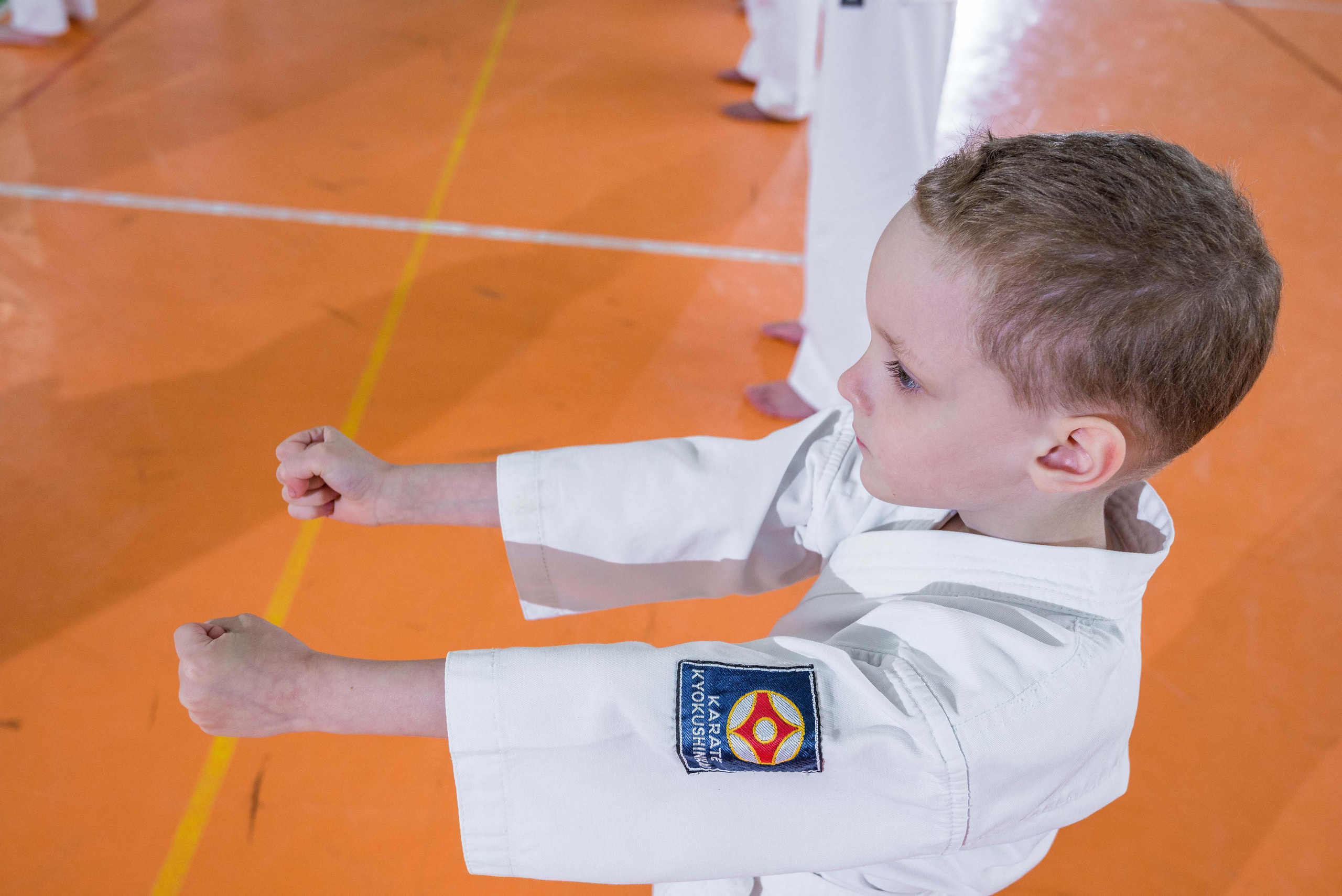 Аттестация киокошинкай клуб «ИППОН», Екатеринбург. Свадебный фотограф на Урале Виктор Соколов