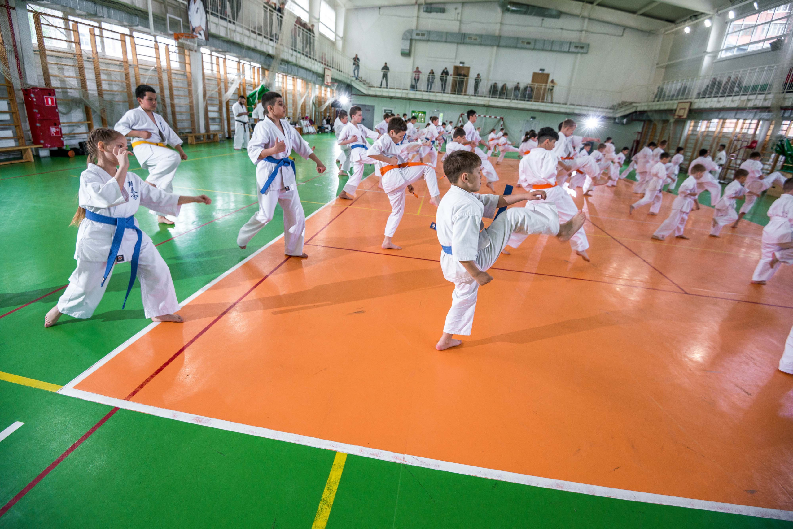 Аттестация киокошинкай клуб «ИППОН», Екатеринбург. Свадебный фотограф на Урале Виктор Соколов