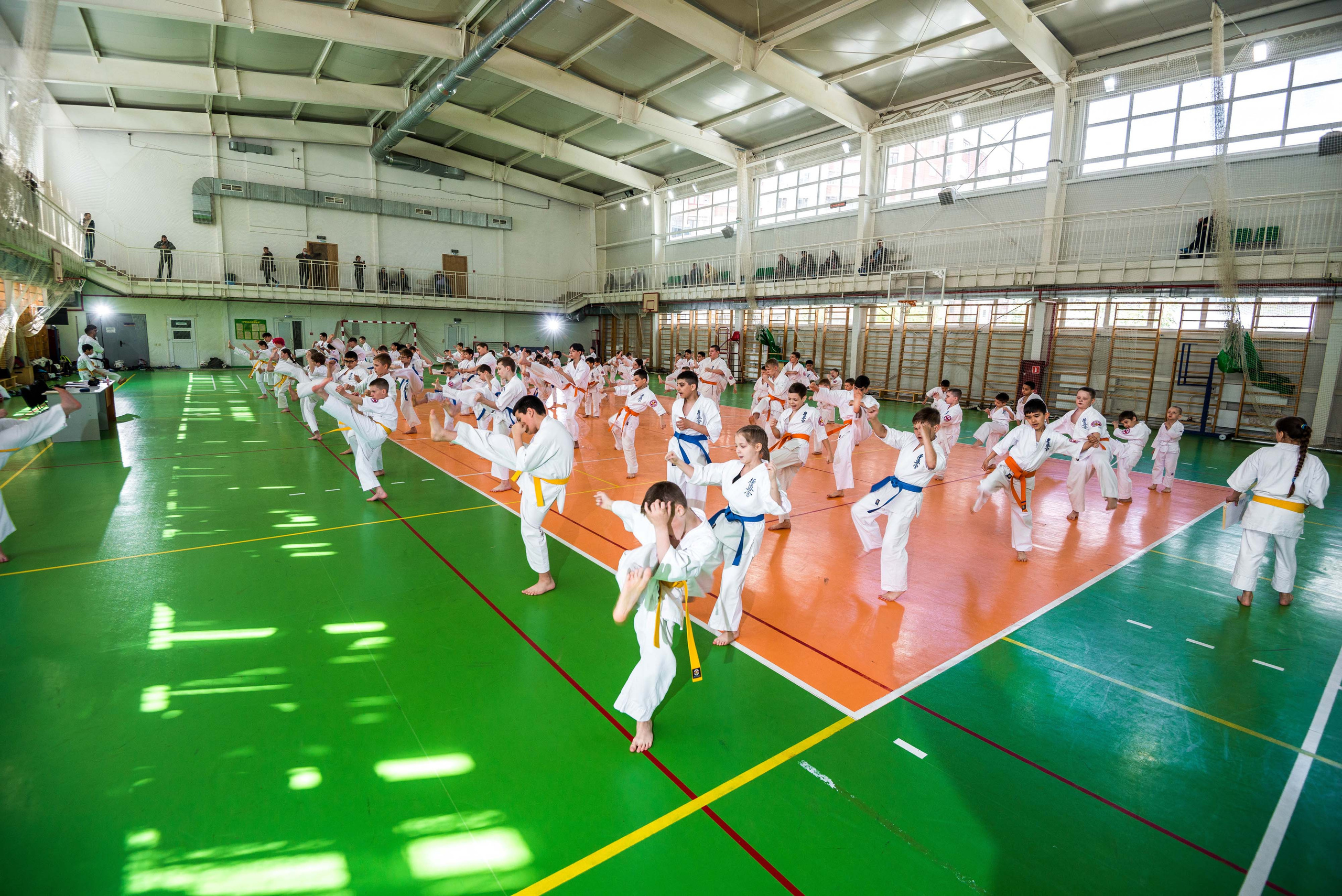 Аттестация киокошинкай клуб «ИППОН», Екатеринбург. Свадебный фотограф на Урале Виктор Соколов