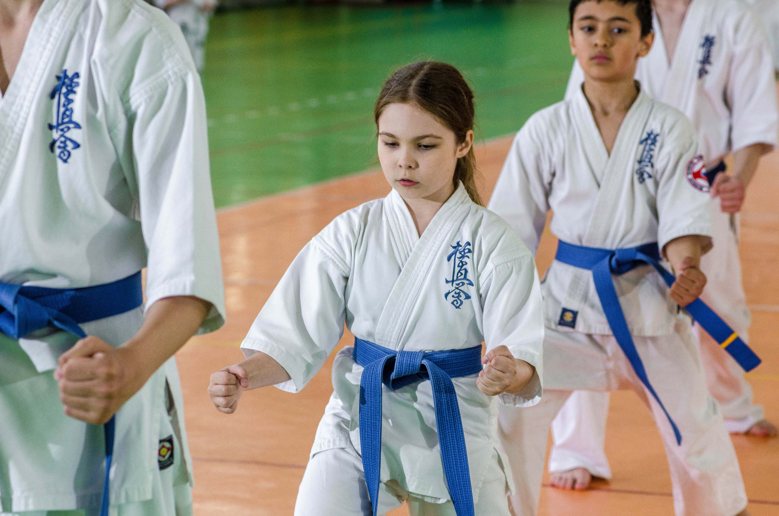 Аттестация киокошинкай клуб «ИППОН», Екатеринбург. Свадебный фотограф на Урале Виктор Соколов