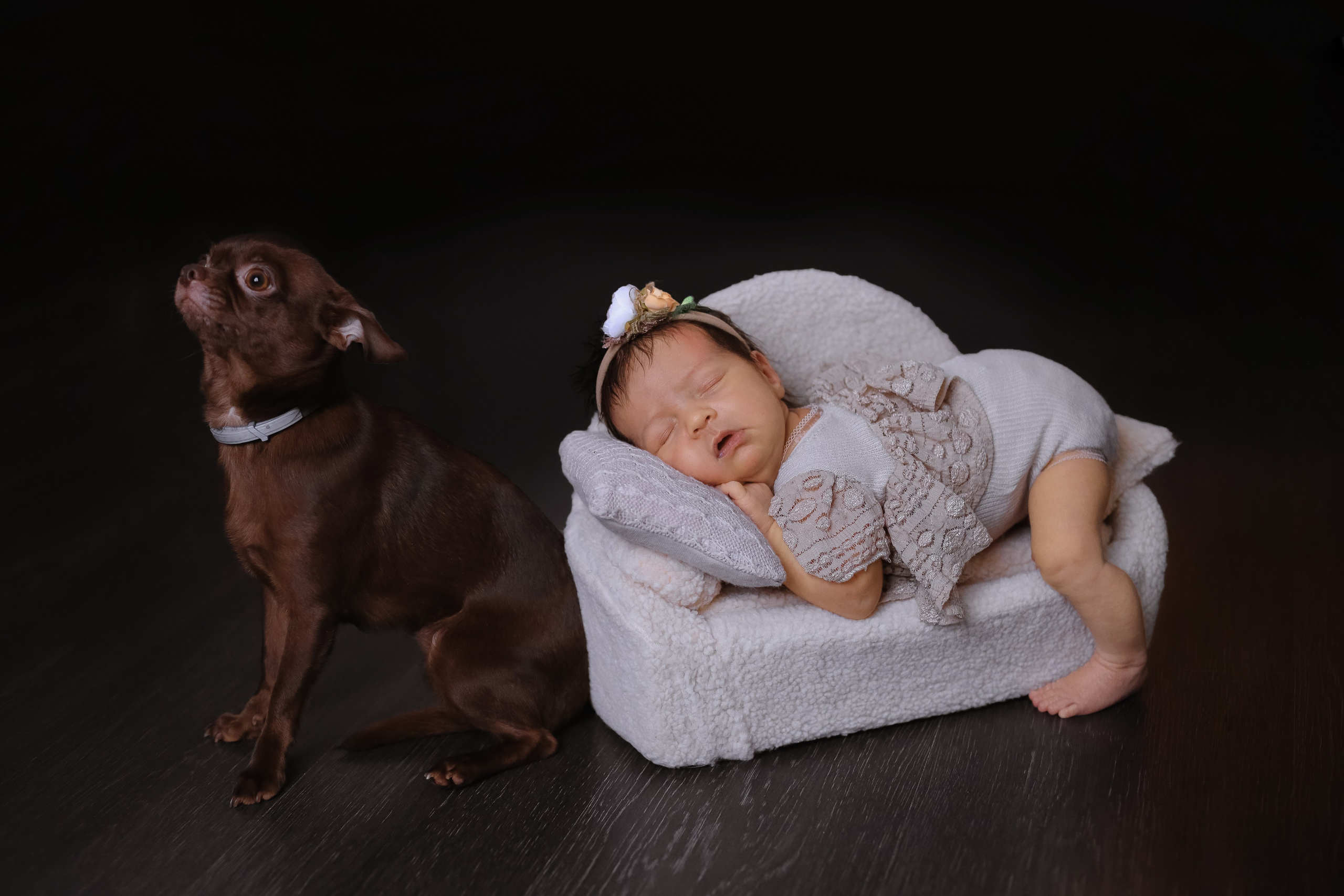 Аня 11 дней. Семейный фотограф и фотограф новорожденных в Санкт-Петербурге Алина Фе