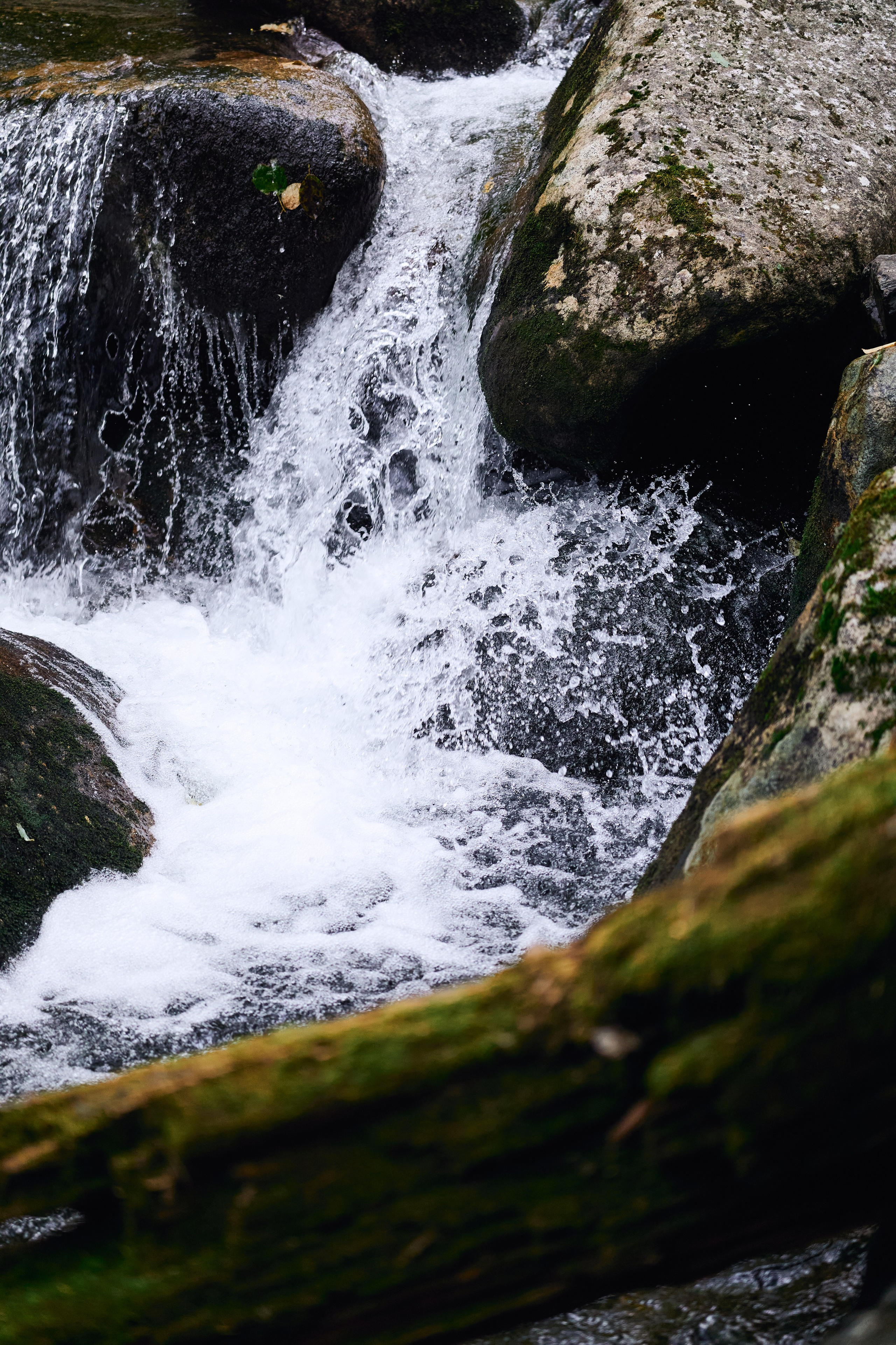 Фото поход на медвежью гору. Фэшн-фотография и портреты в Владивостоке. Превращаю съёмку в повествование — создаю образы с сюжетом, которые остаются в памяти