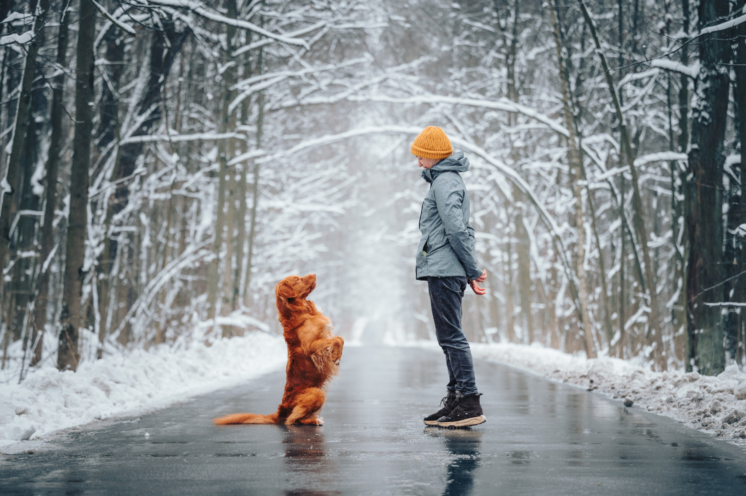 Наташа и Бубел. Семейный фотограф анималист Ананьева Мария — Москва