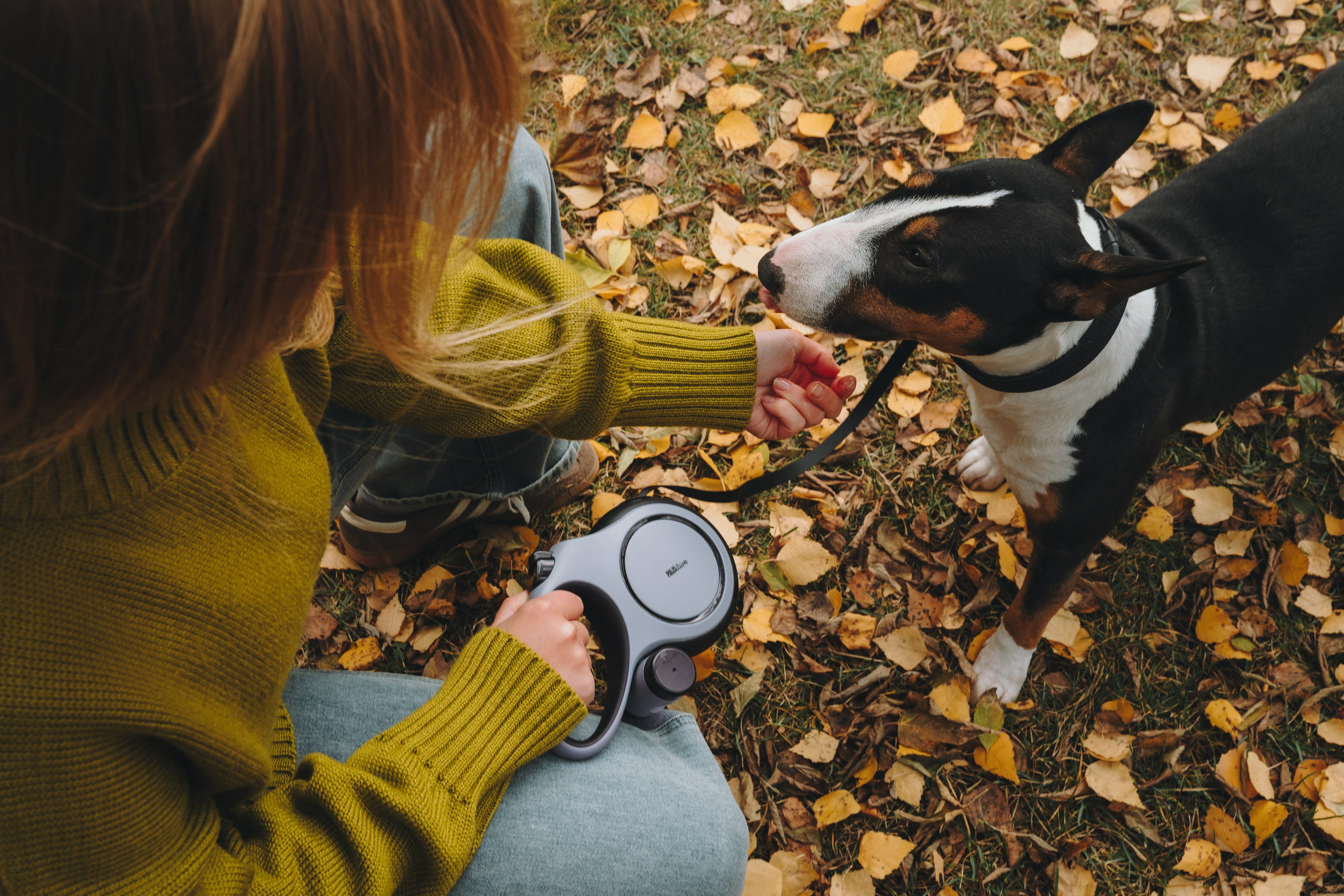 Pawsitive. Семейный фотограф анималист Ананьева Мария — Москва