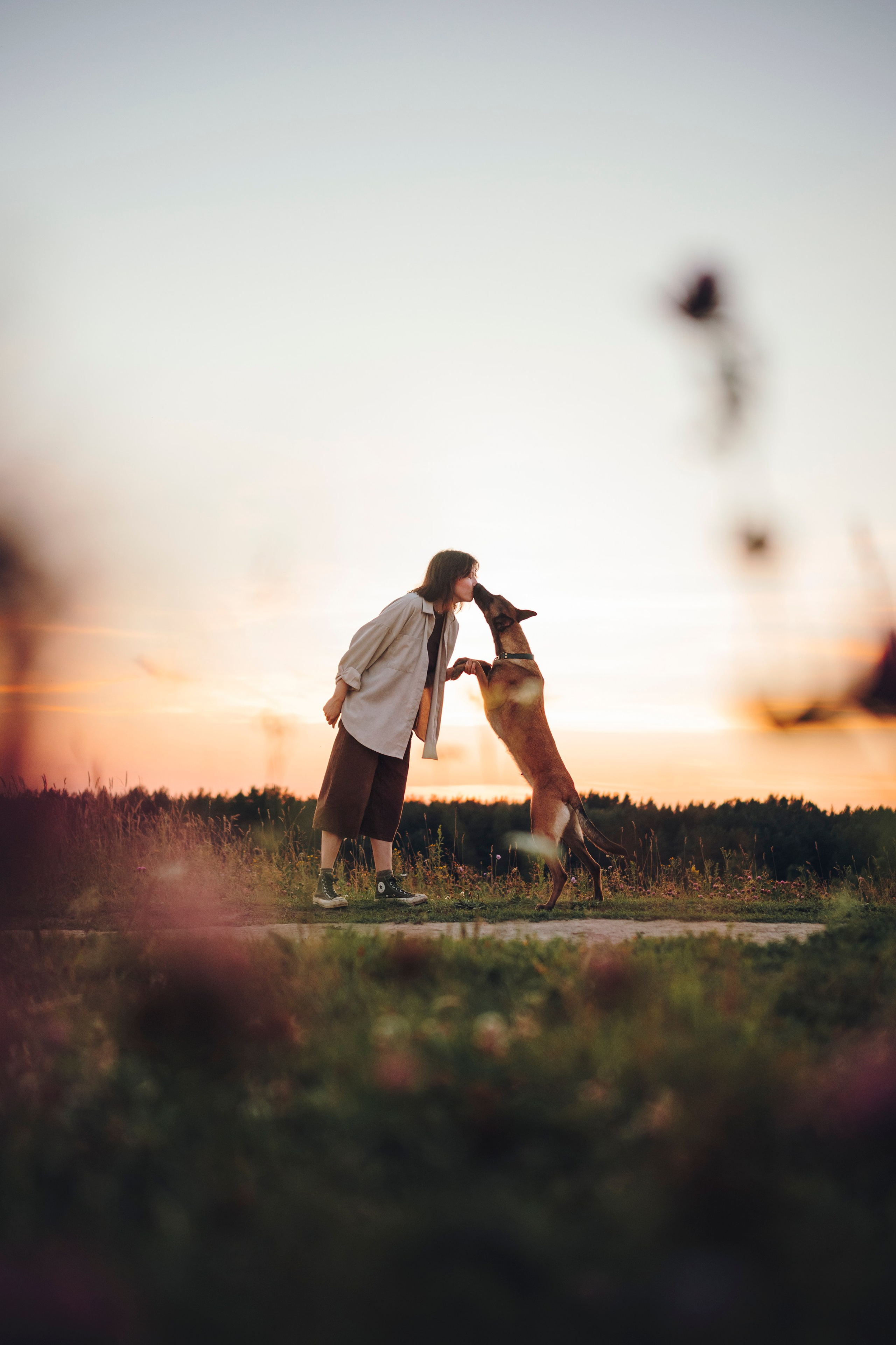 Маша, Трисс и Эста. Семейный фотограф анималист Ананьева Мария — Москва
