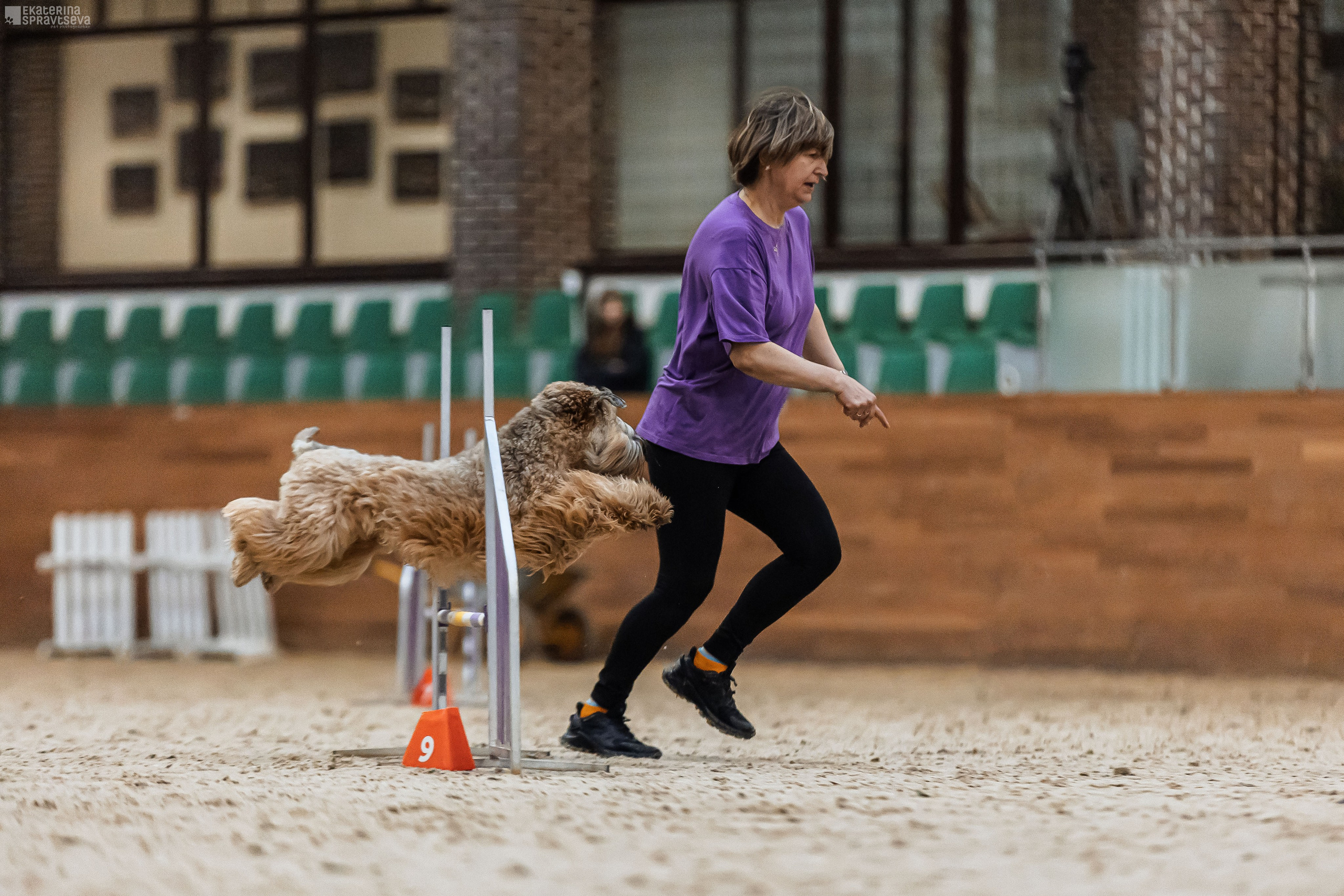 ЧРКФ Аджилити в Максима. Фотограф Анималист Екатерина Справцева в Нижнем Новгороде