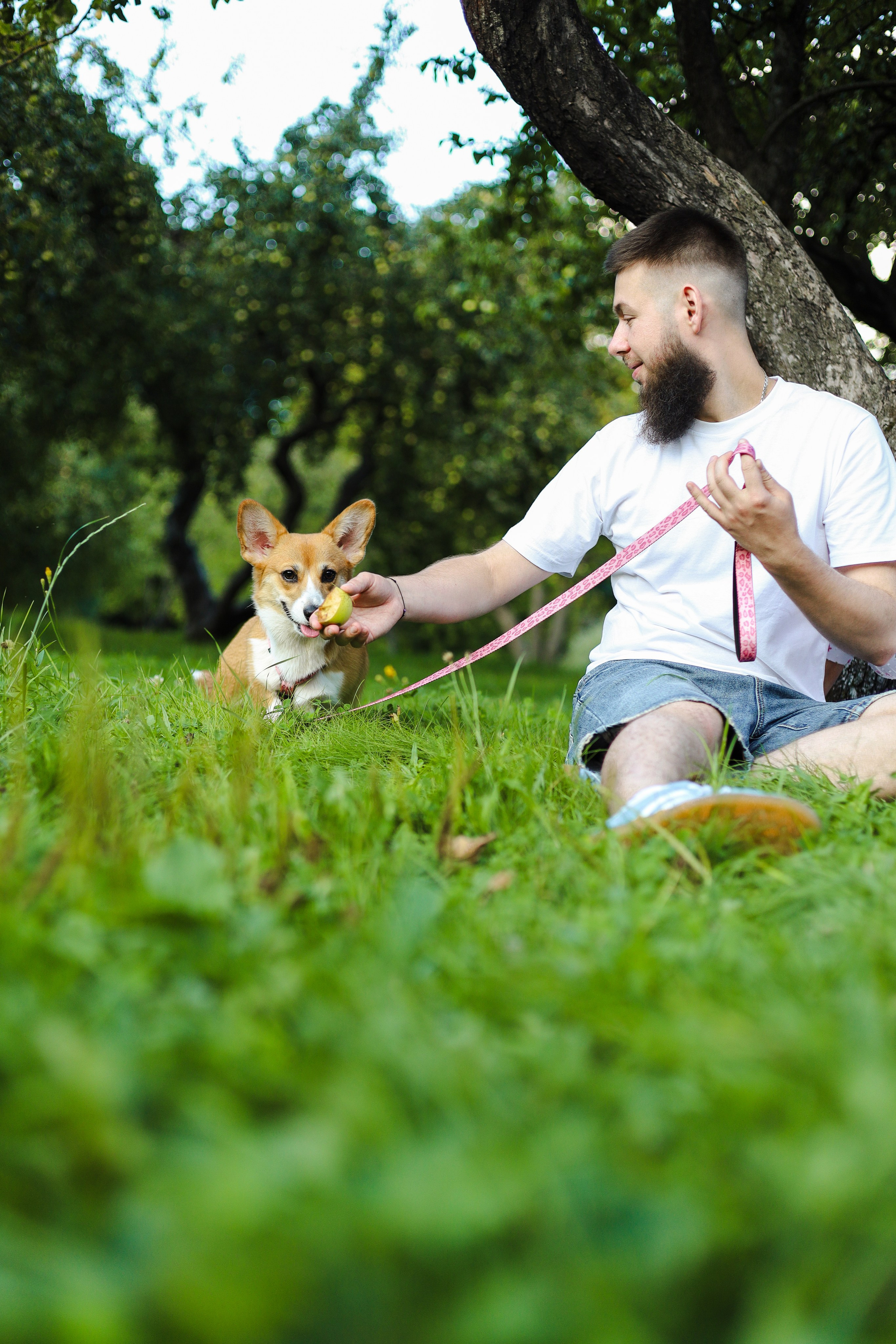 Эмили, Аня и Лёша. Фотограф-анималист Ксения Шевцова|Москва