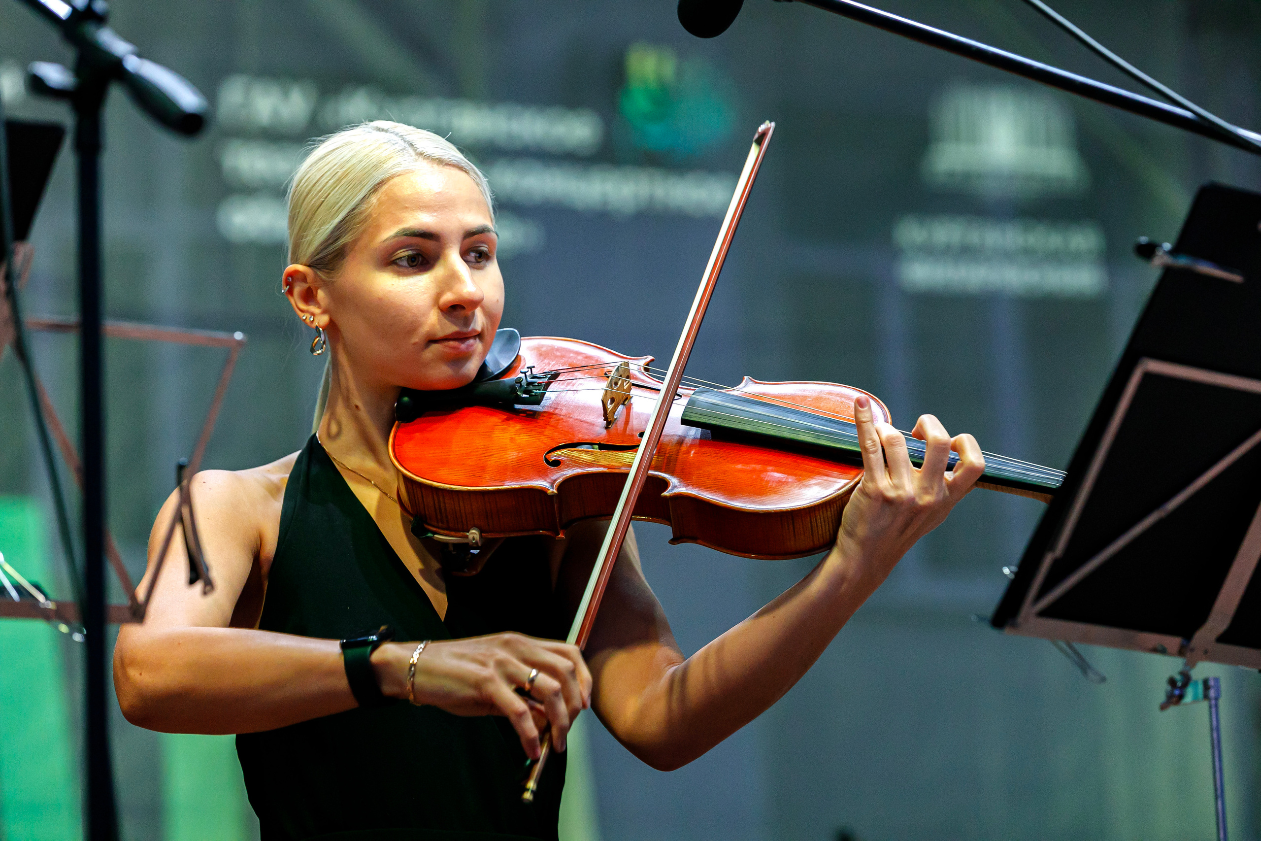Августовская симфониада. The August Symphony. Фотограф Андрей Гузеев