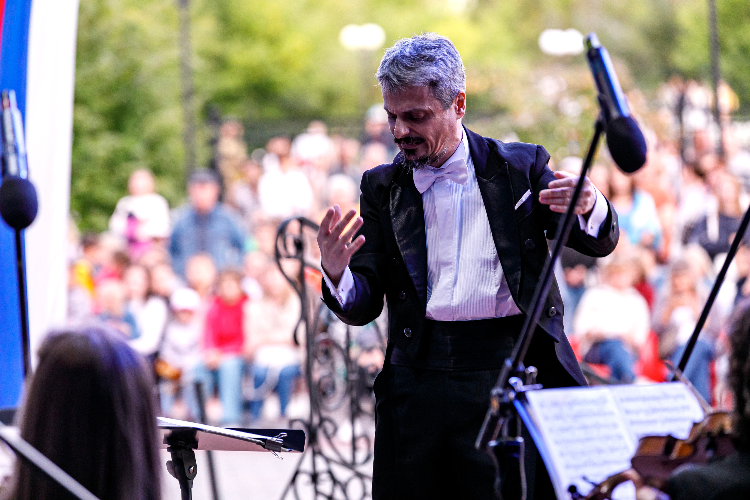 Августовская симфониада. The August Symphony. Фотограф Андрей Гузеев