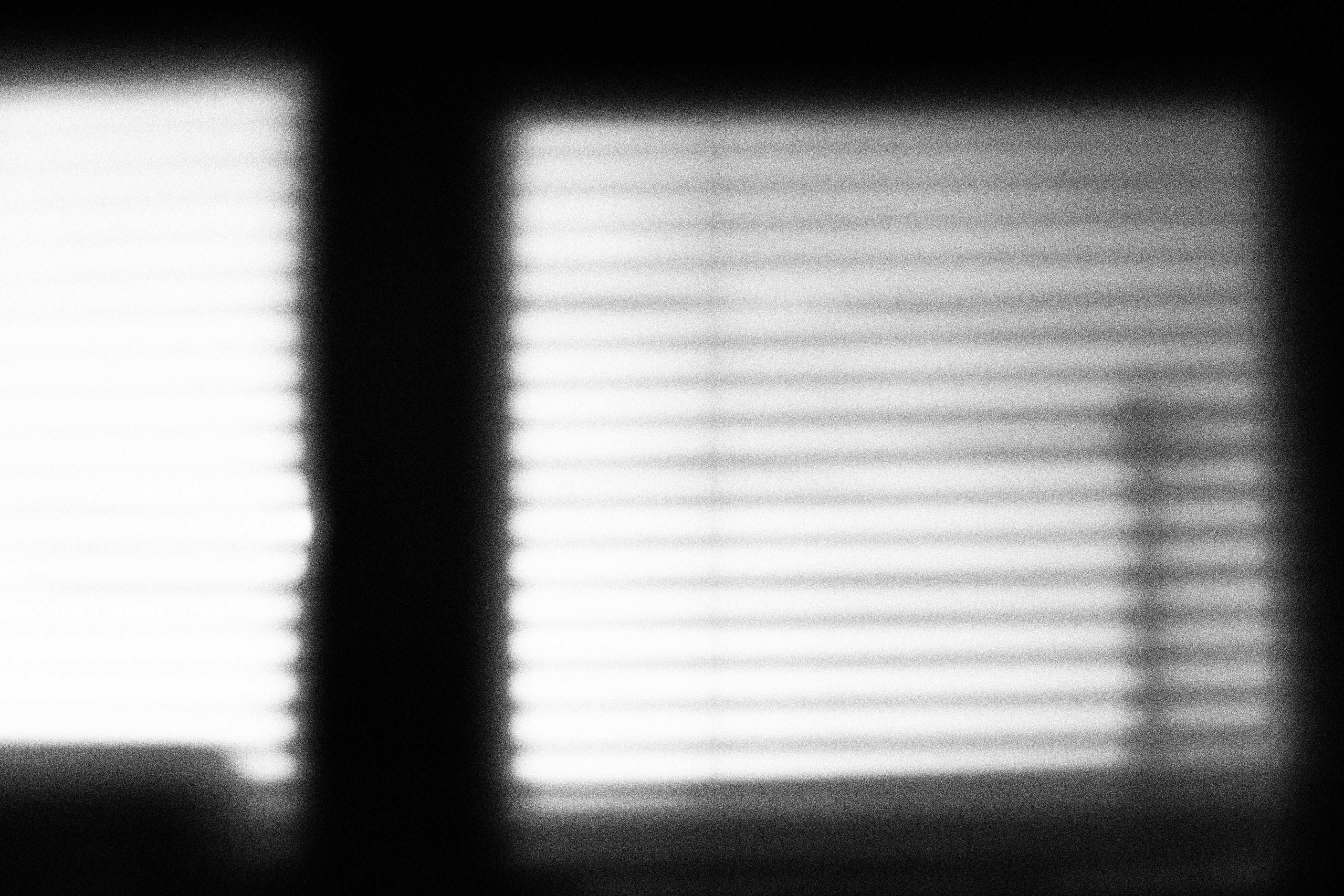 «Видеть. Чувствовать. Сохранять»