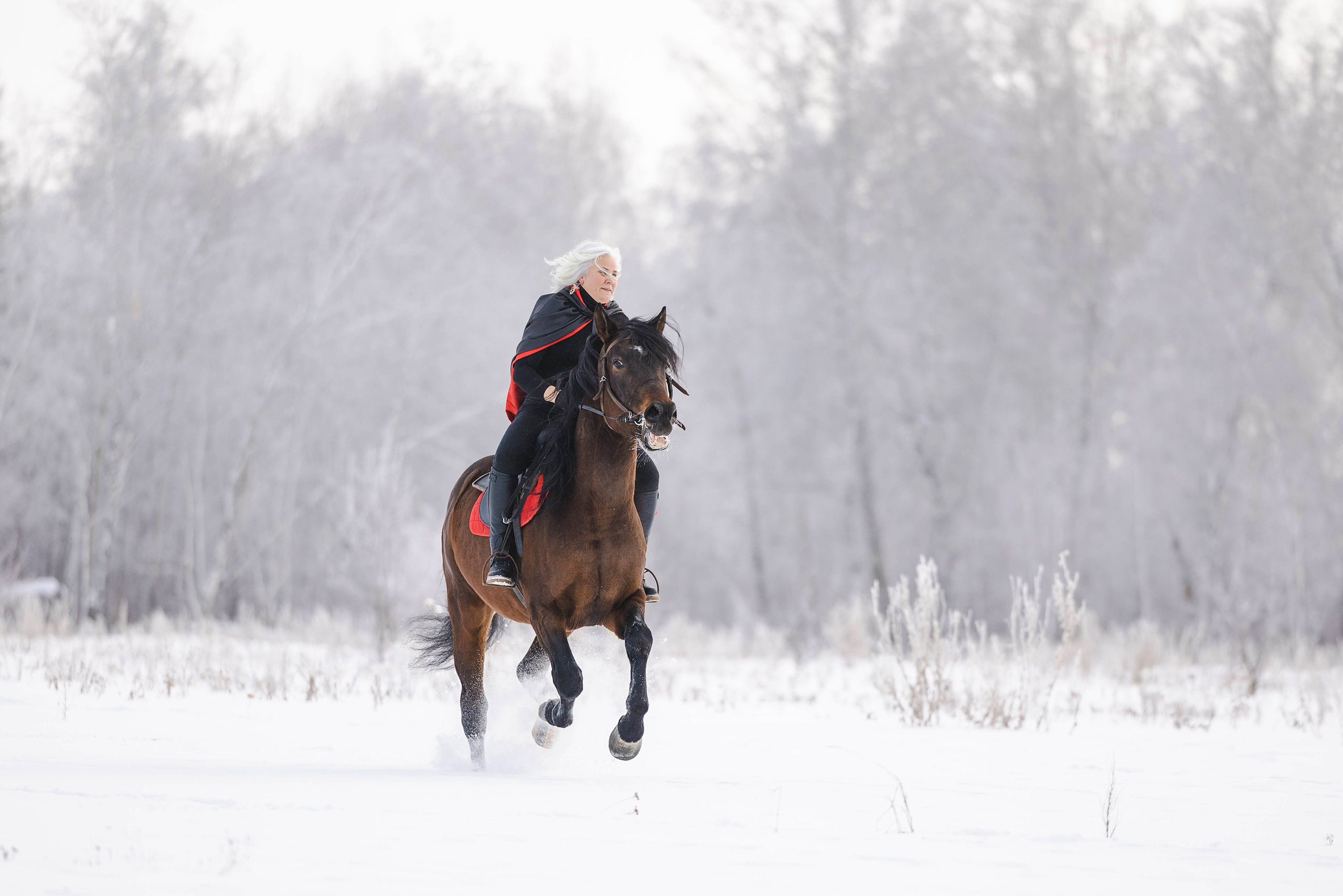 Репотражная съёмка. Фотограф-анималист в Омске Екатерина Маричева