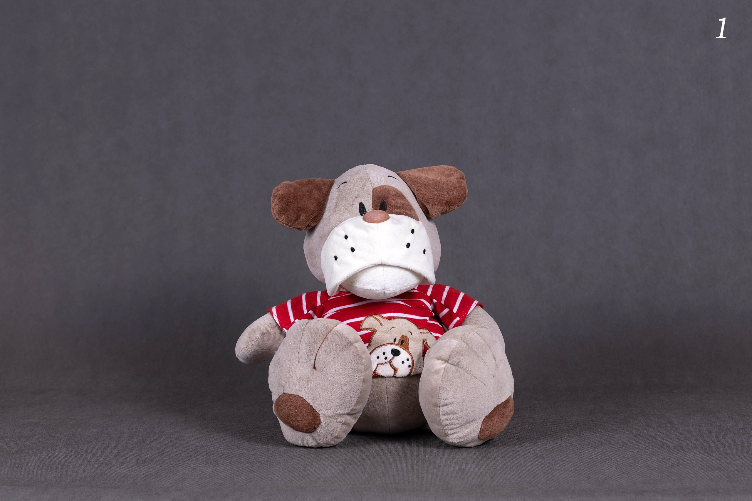 Фоны. Фотограф-анималист в Омске Екатерина Маричева