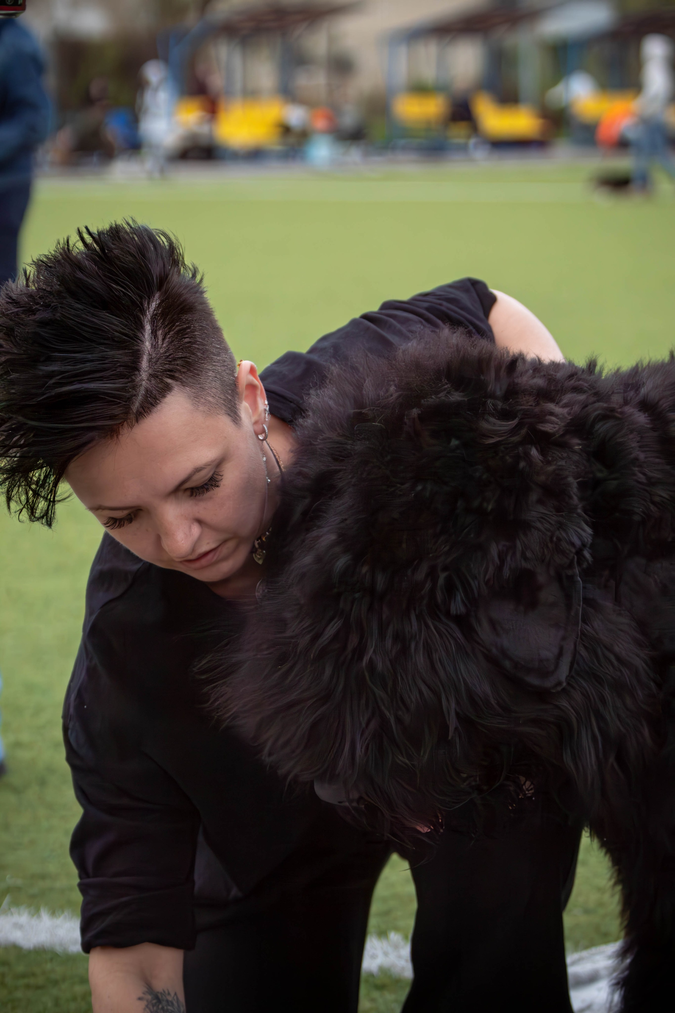 Фотограф анималист для выставки собак в Туле. Фотограф анималист — Тула, Москва