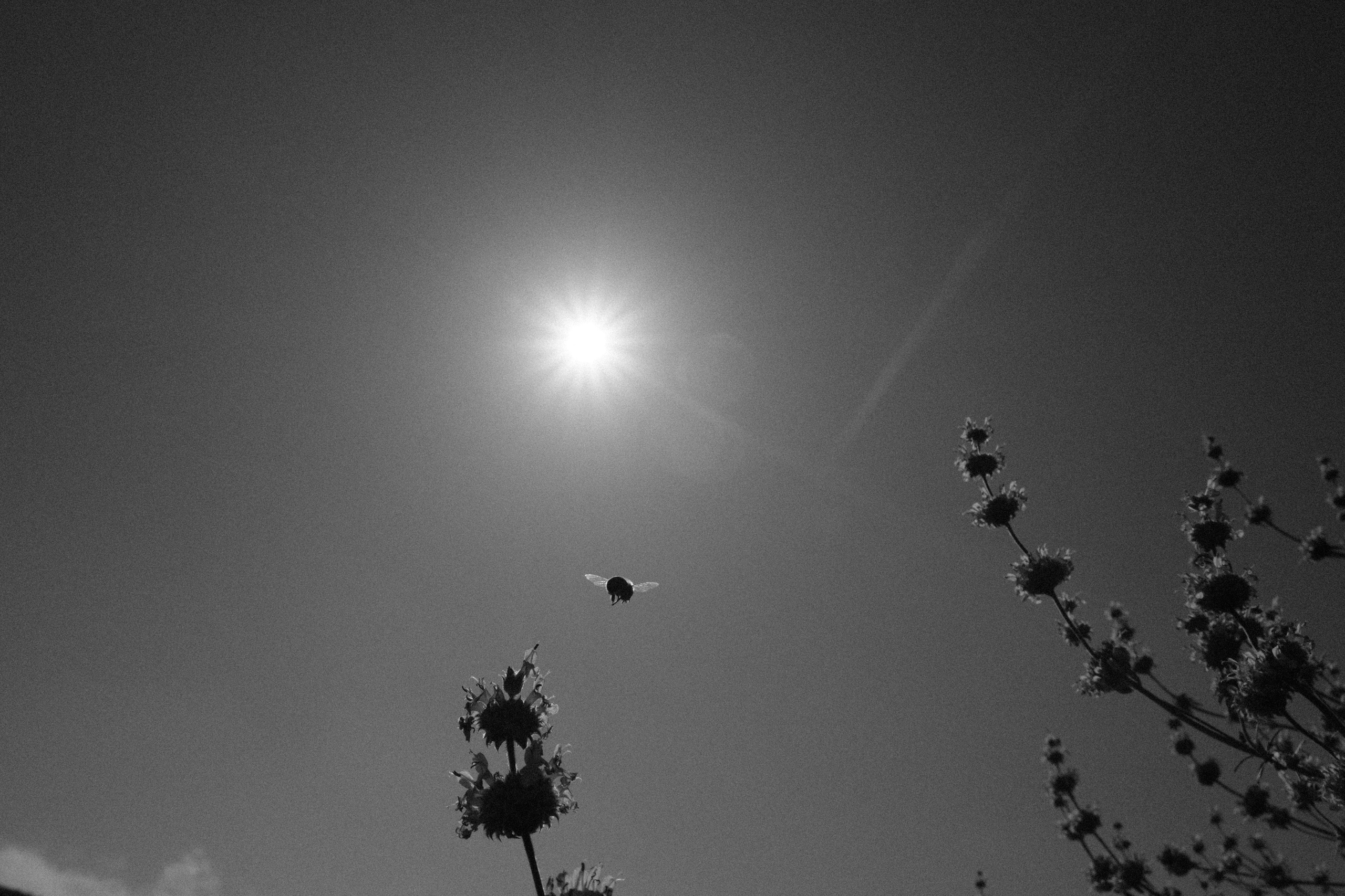 Ляйсан Загидуллина | Переход. Private image