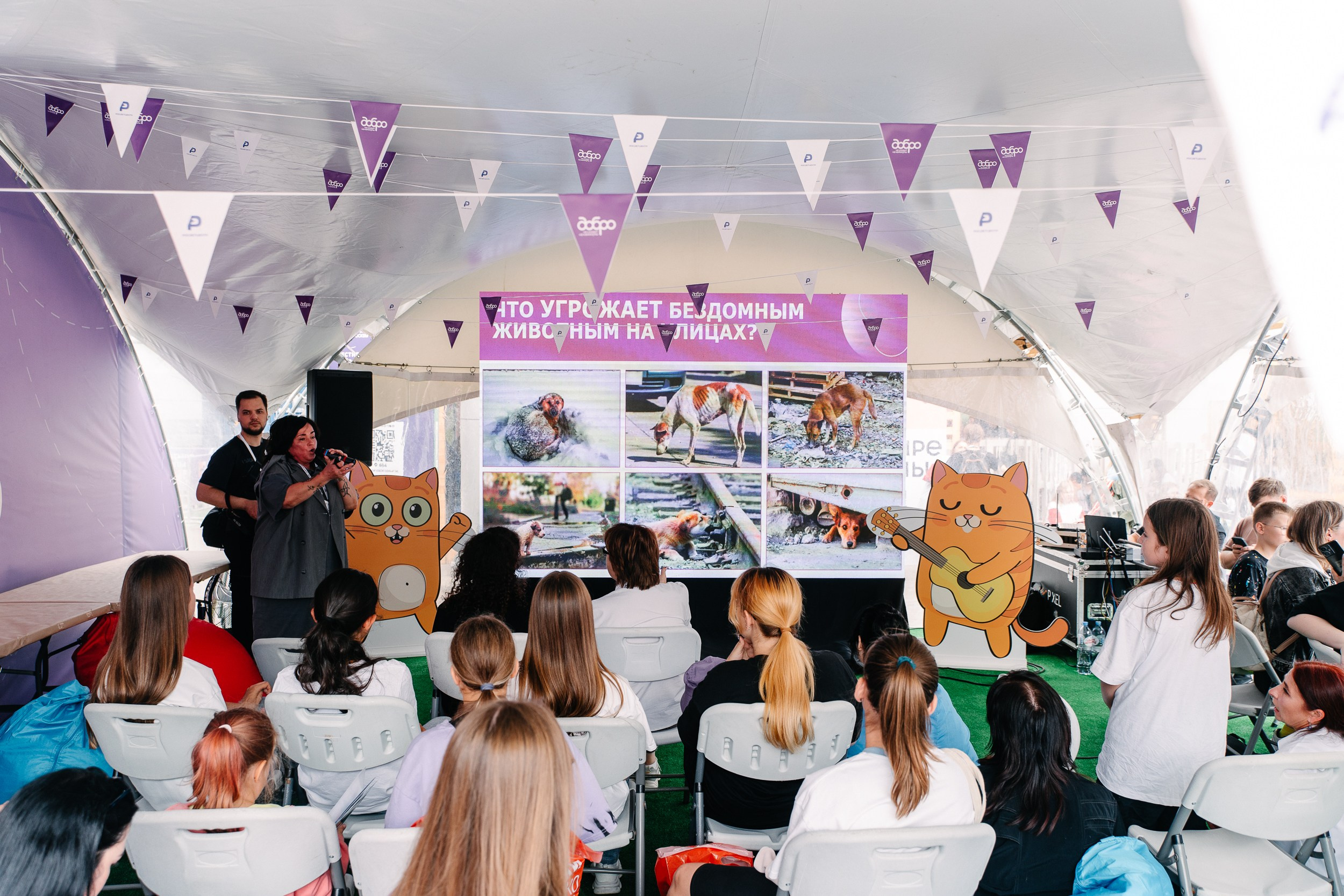 Фотограф Москва и Московская область. Фотосъёмка, видеосъемка массовых мероприятий, reels