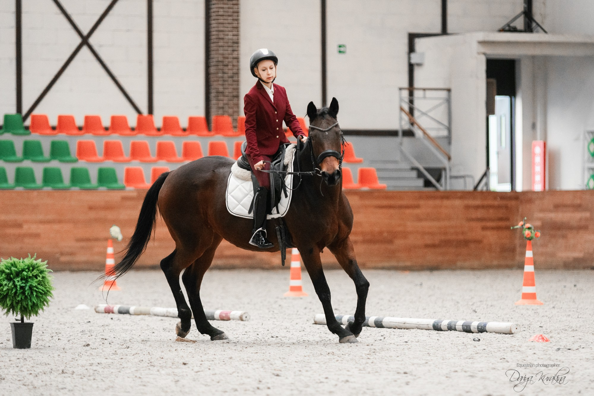 8-я международная выставка Конная Россия. Конный фотограф Куракина Дарья • Фотосессии с лошадьми