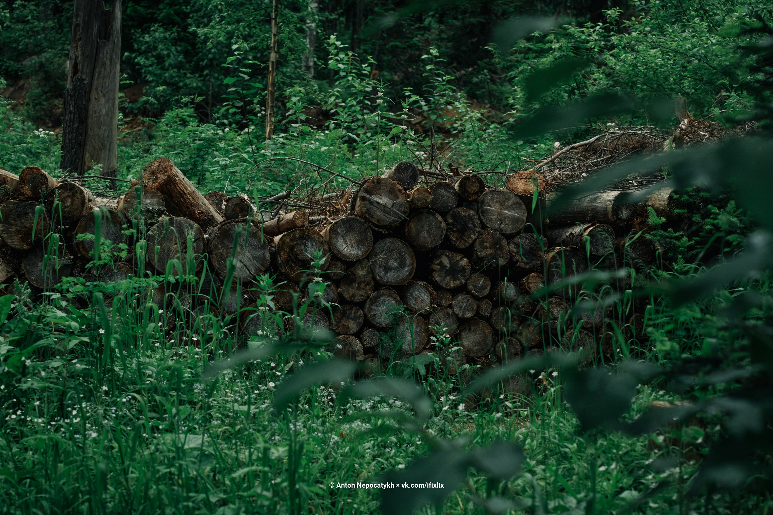 Фотографии Шерегеш. Антон Непочатых — Большой мужской фотограф