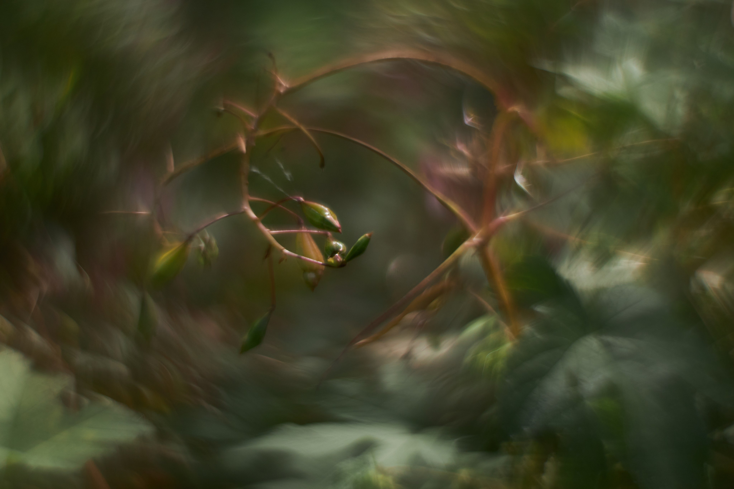 «Незримые Миры». Арт-фотограф во Владивостоке Дмитрий Осипчук