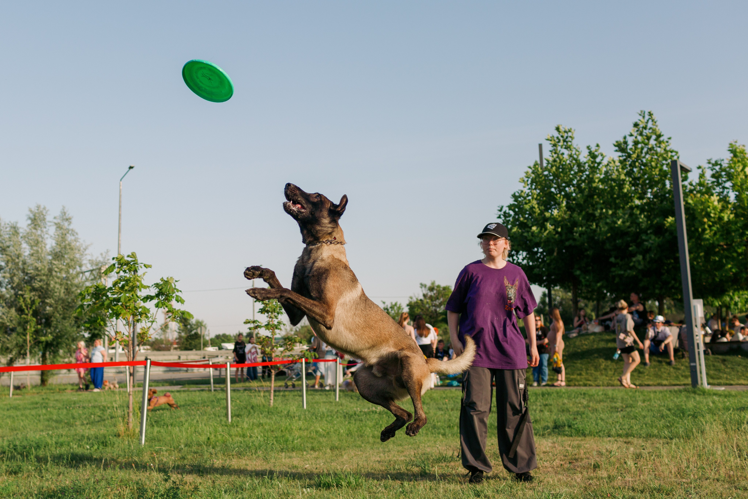 Dog Fest 2024. Главная
