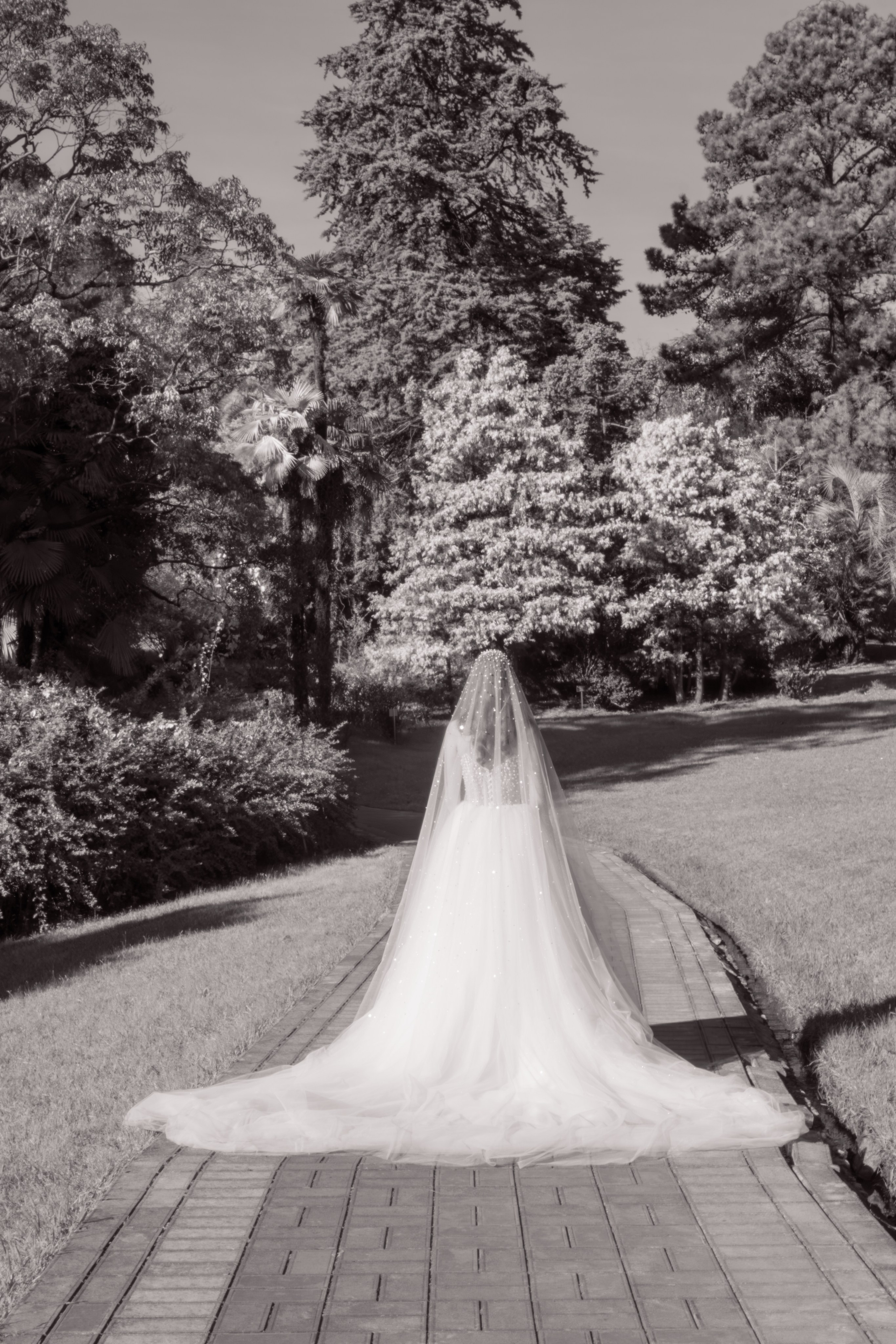 Сергей & Диана