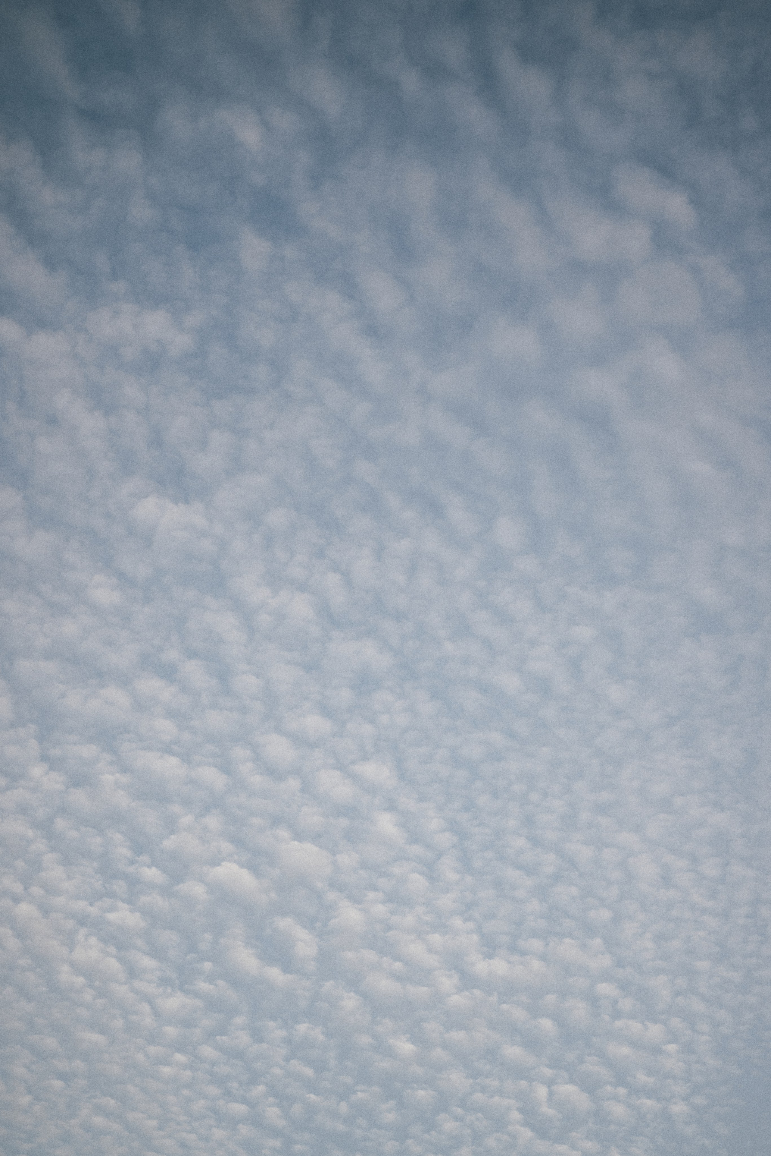 Оксана & Игорь. Алёна Куртова