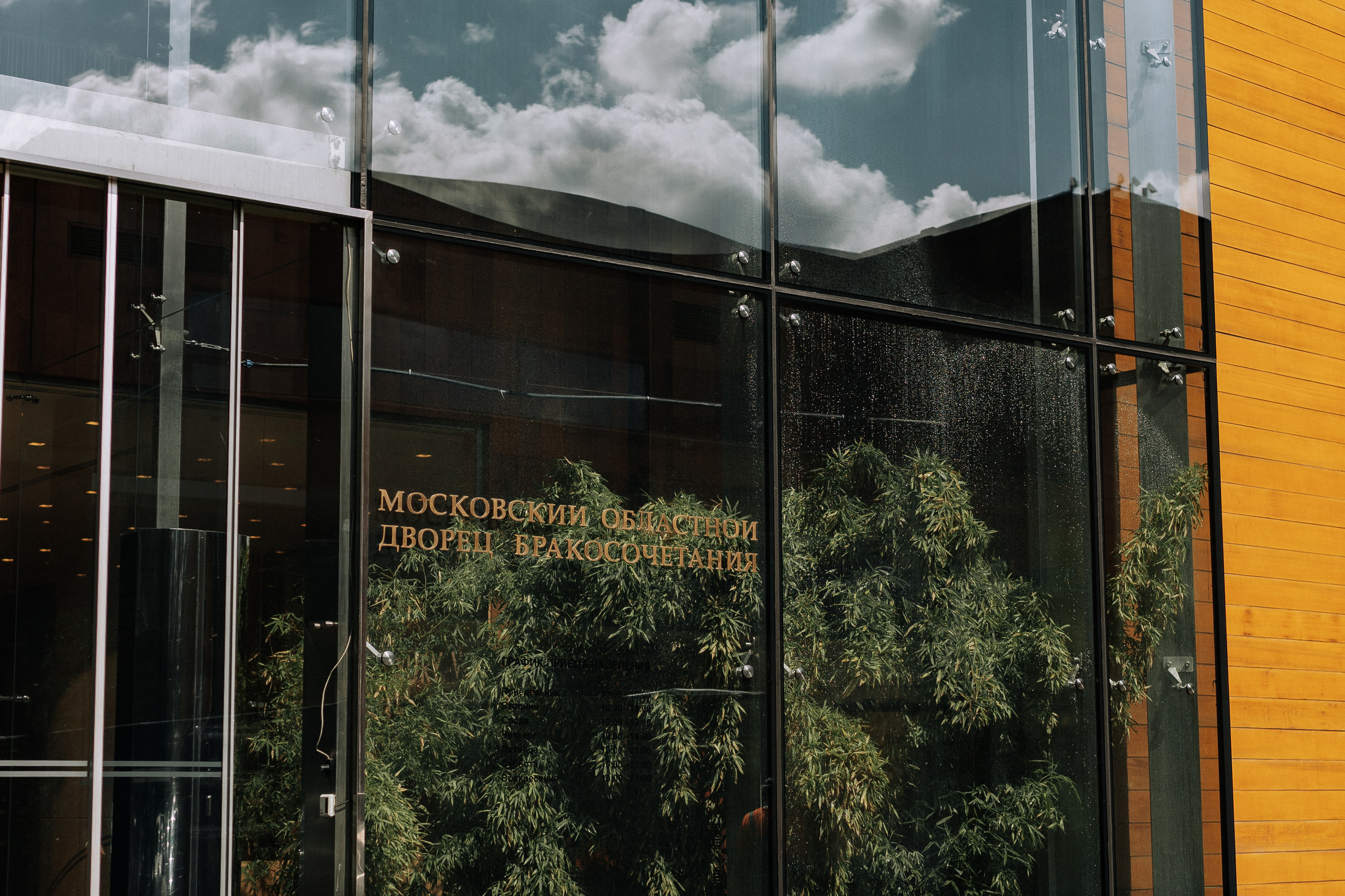 Саша и Маша. Свадебный и репортажный фотограф Ольга Шевелёва