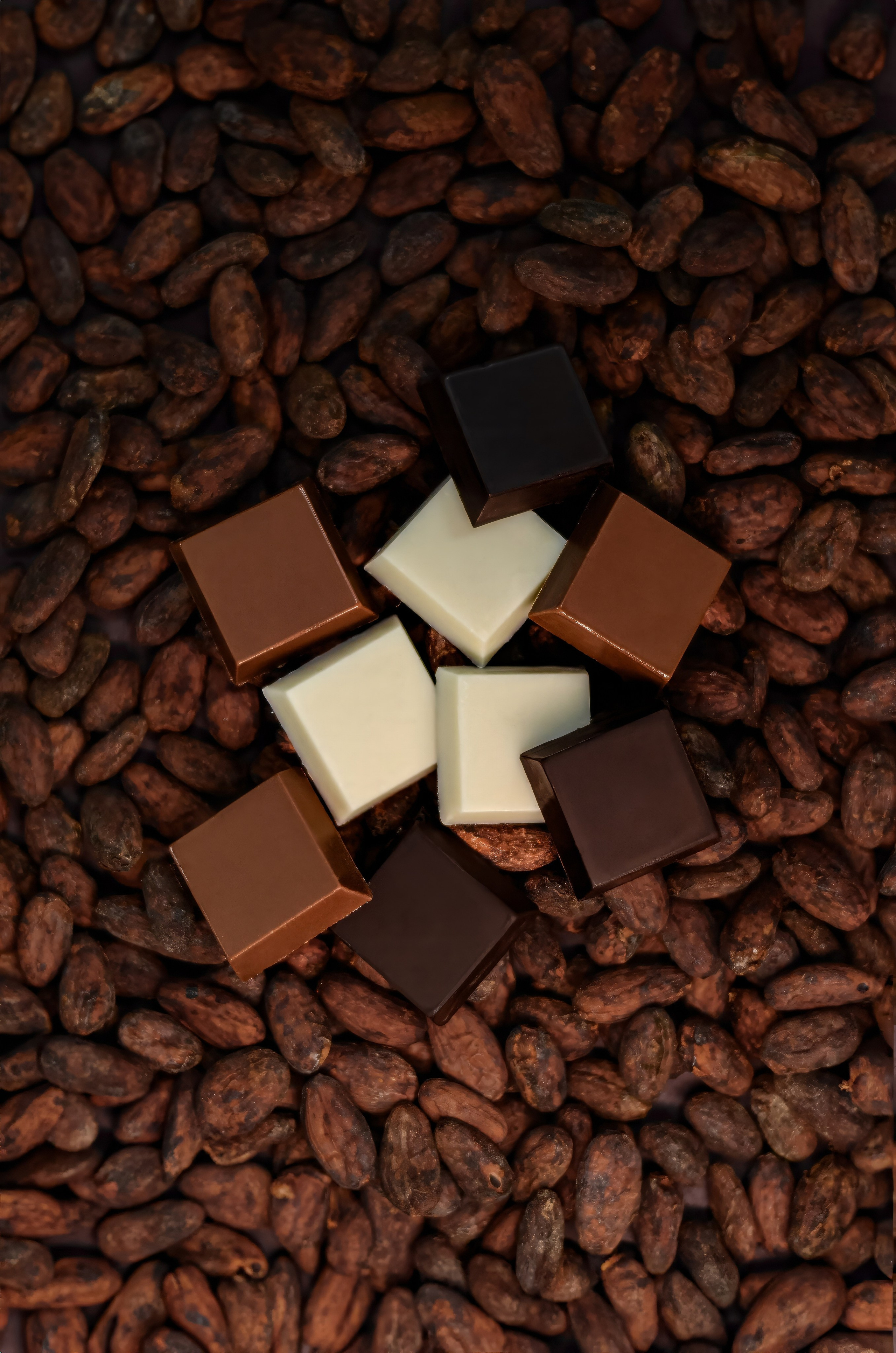 GOBECHE. Fotógrafo | Sessão de fotos