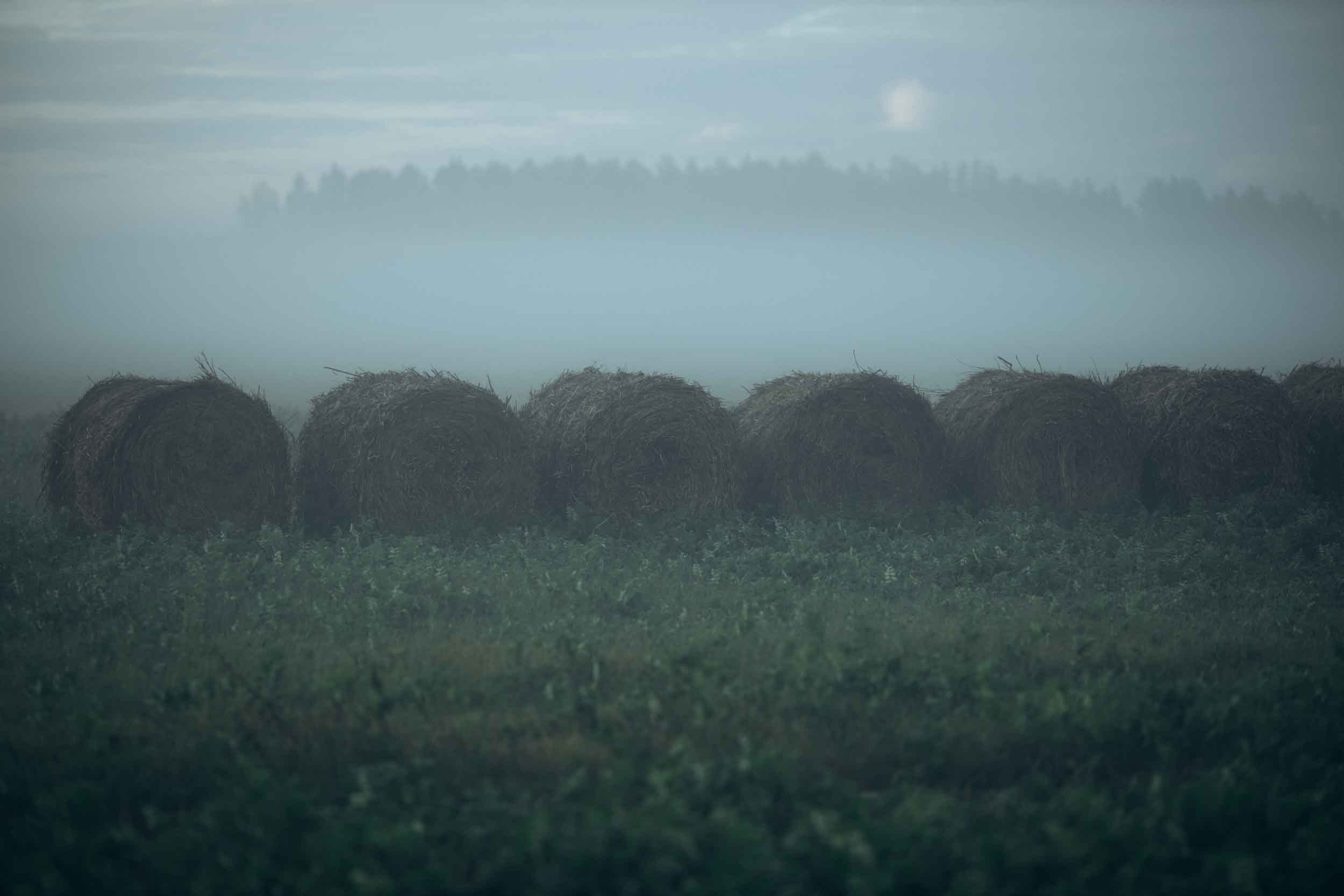 Природные пейзажи. Наталия Клевинскас портретный фотограф в Костроме