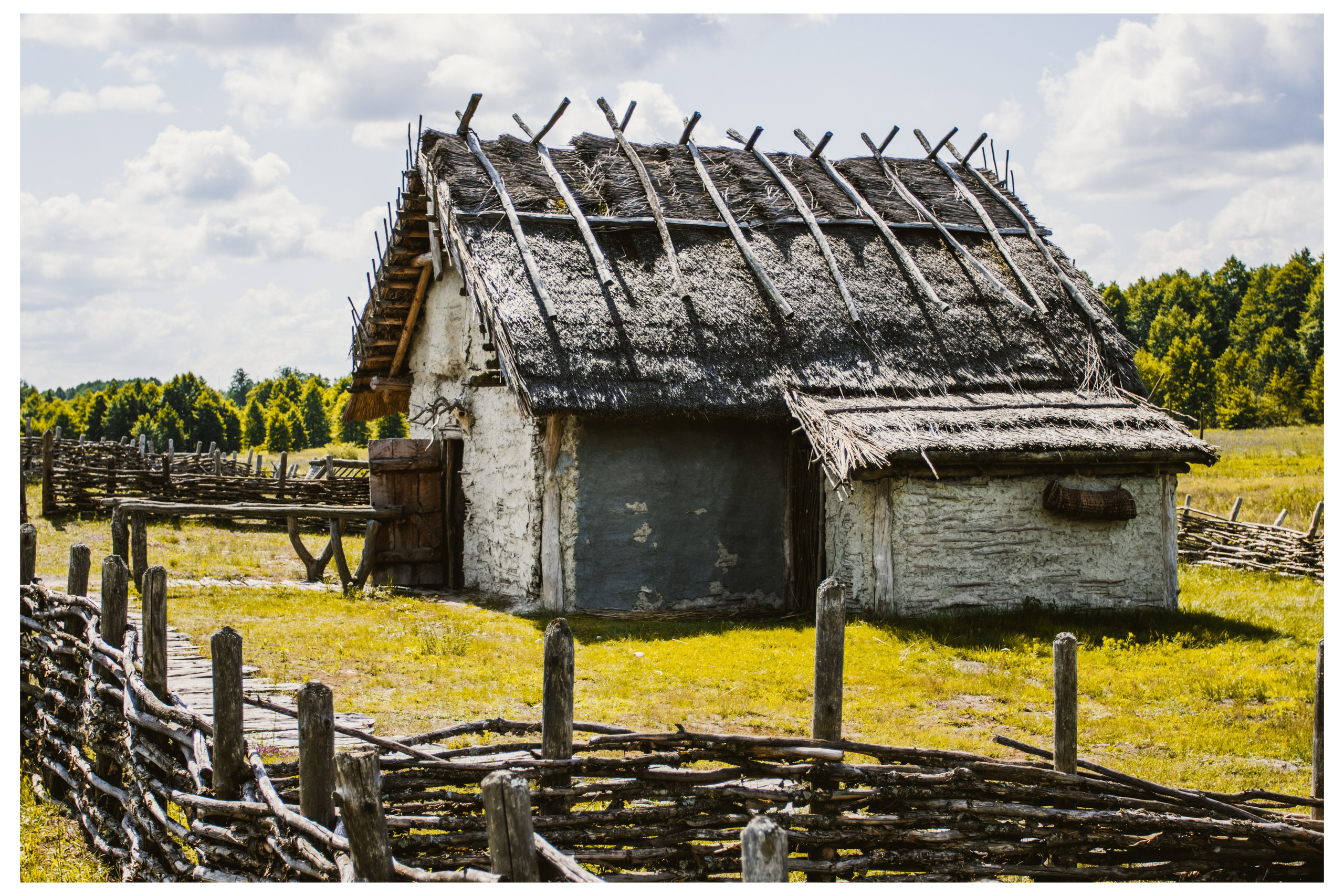 Эстетика. Фотограф Елена Ярмуш