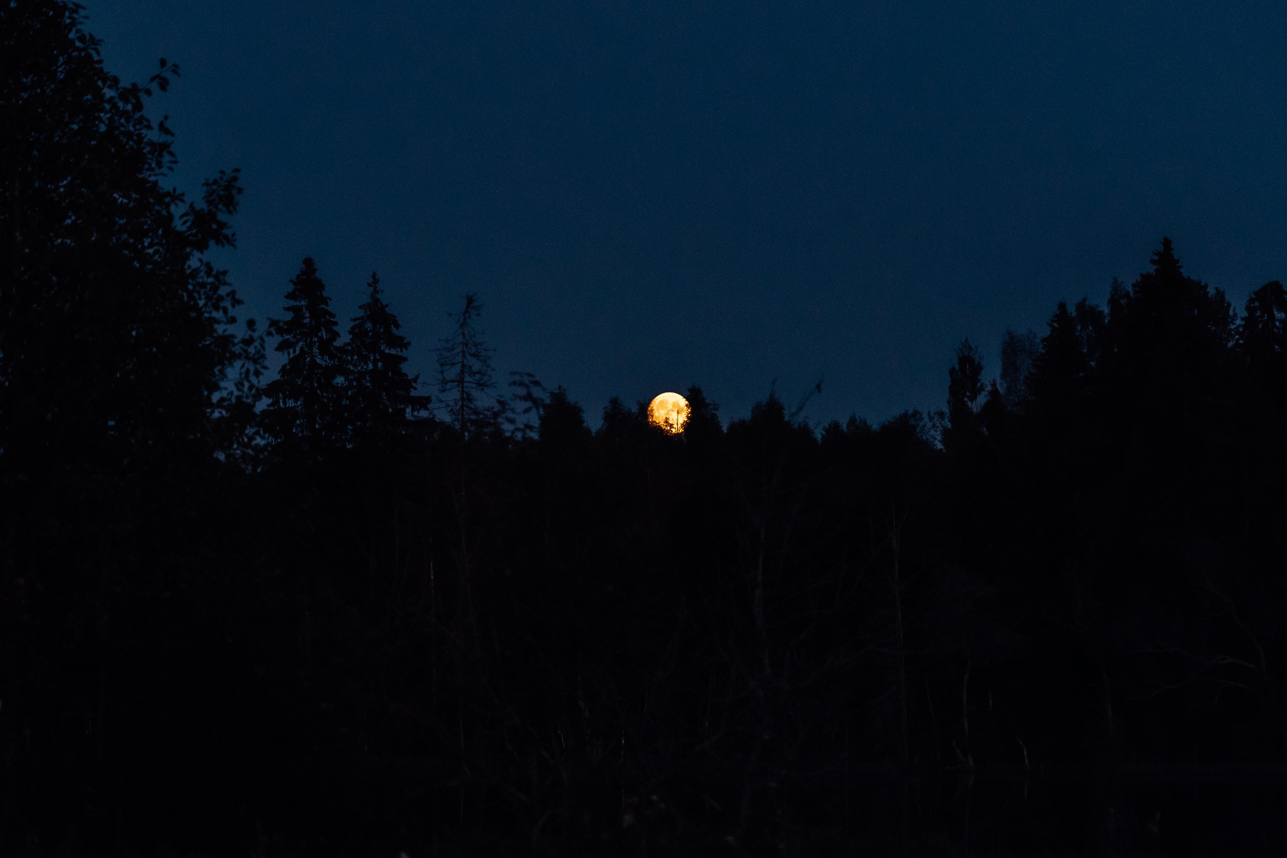 Даша. Главная