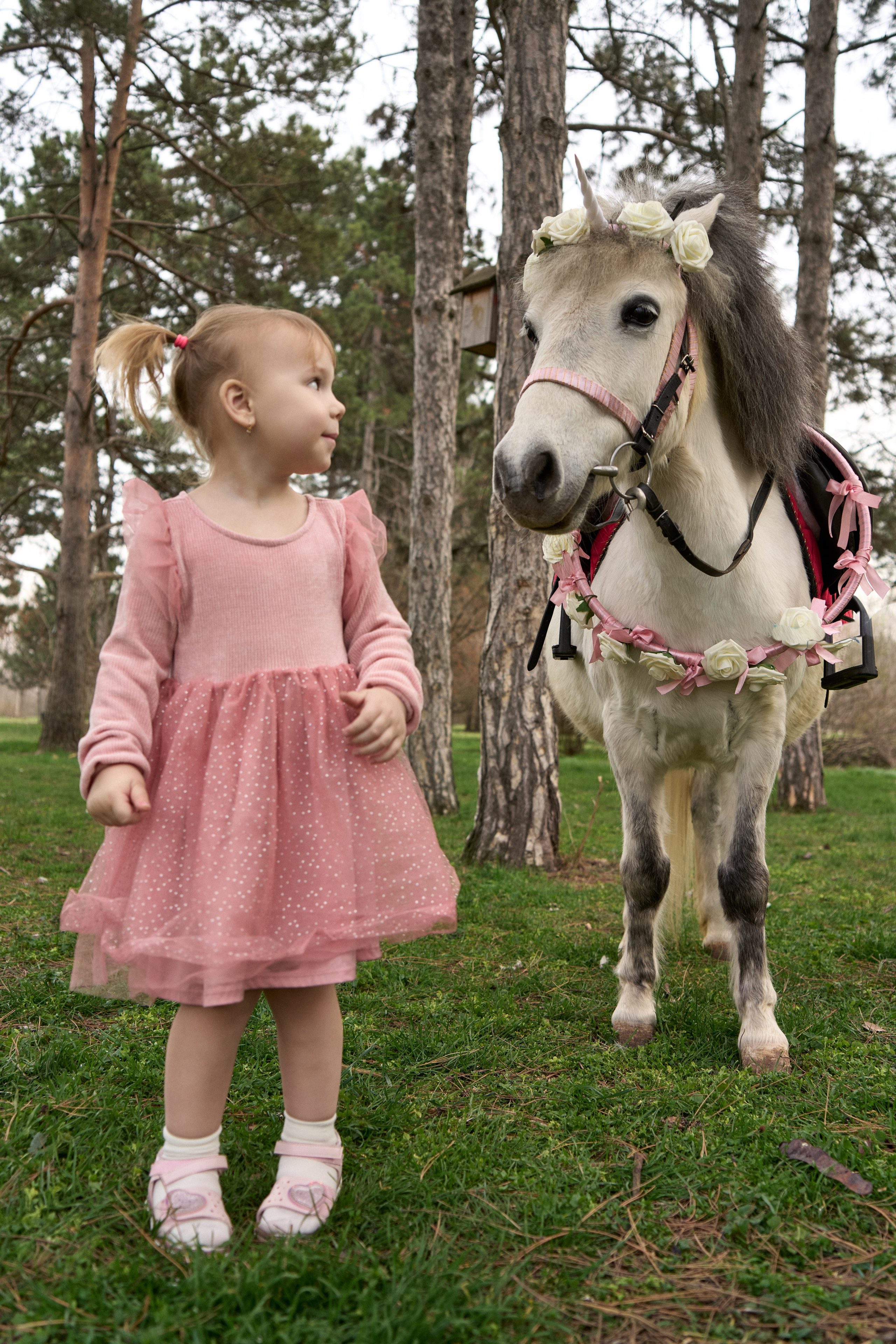Фотосессия с лошадкой в Краснодаре
