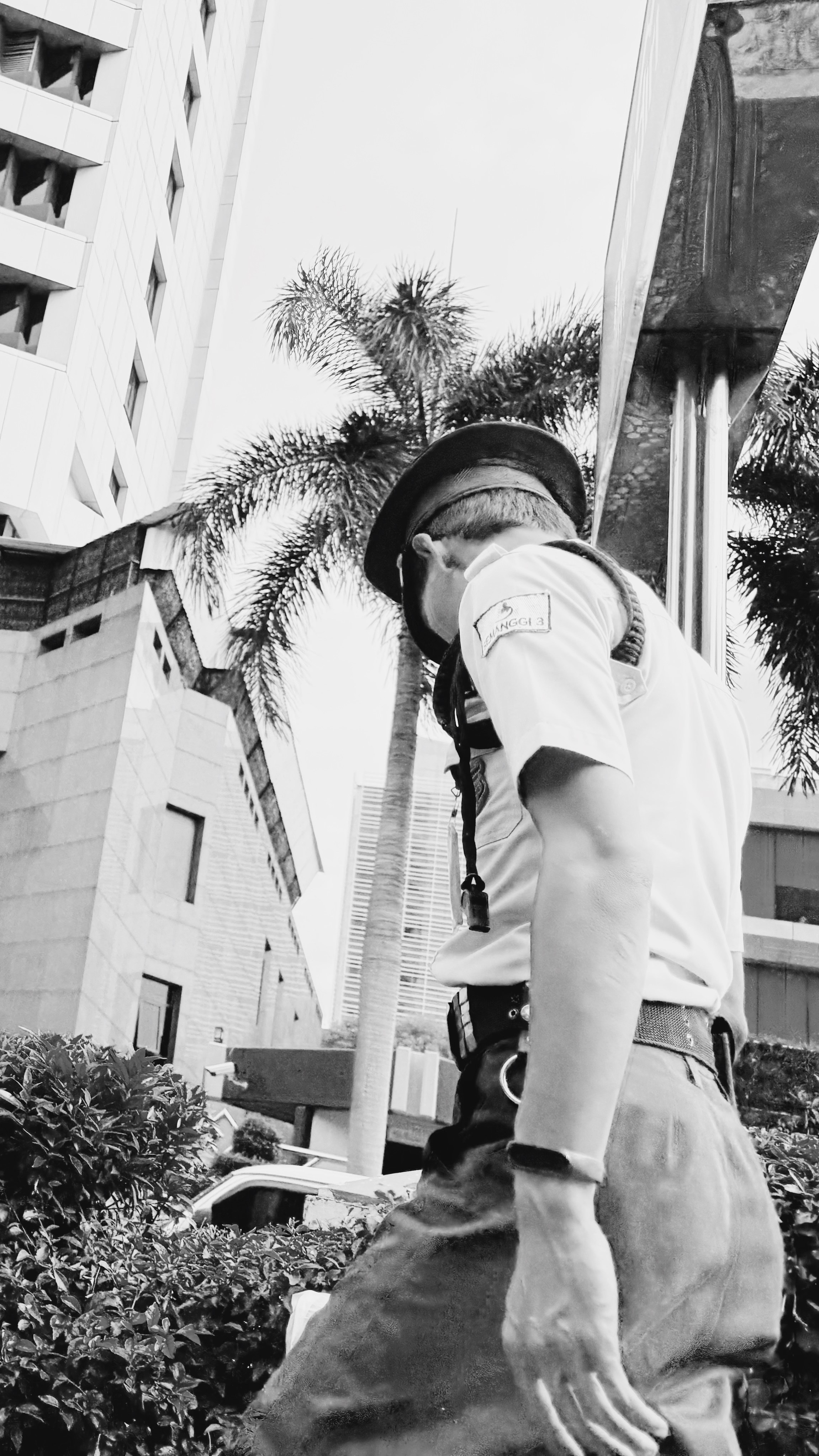 JAKARTA. Carolinetru