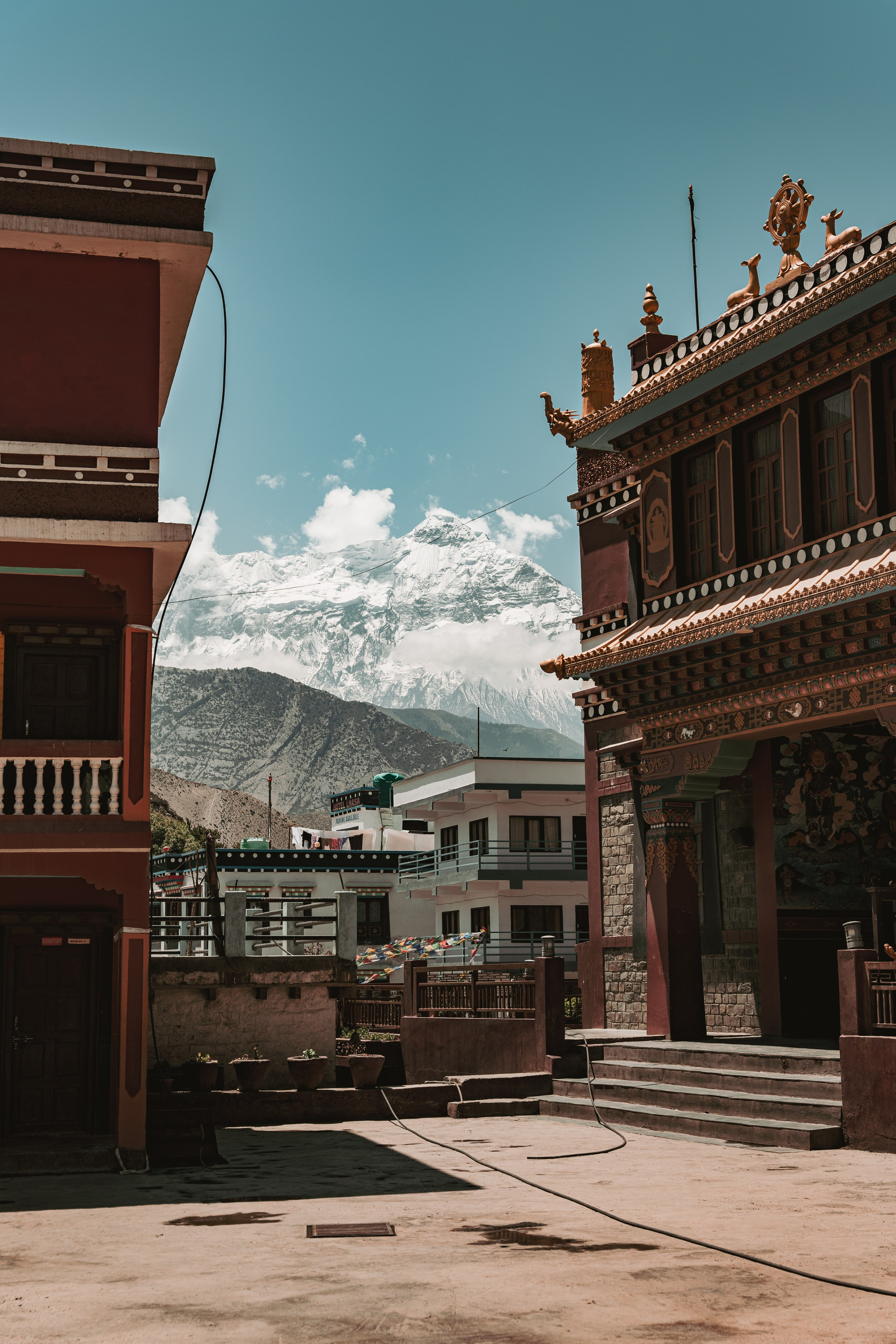 Королевство Мустанг. Dmitry Ippolitov