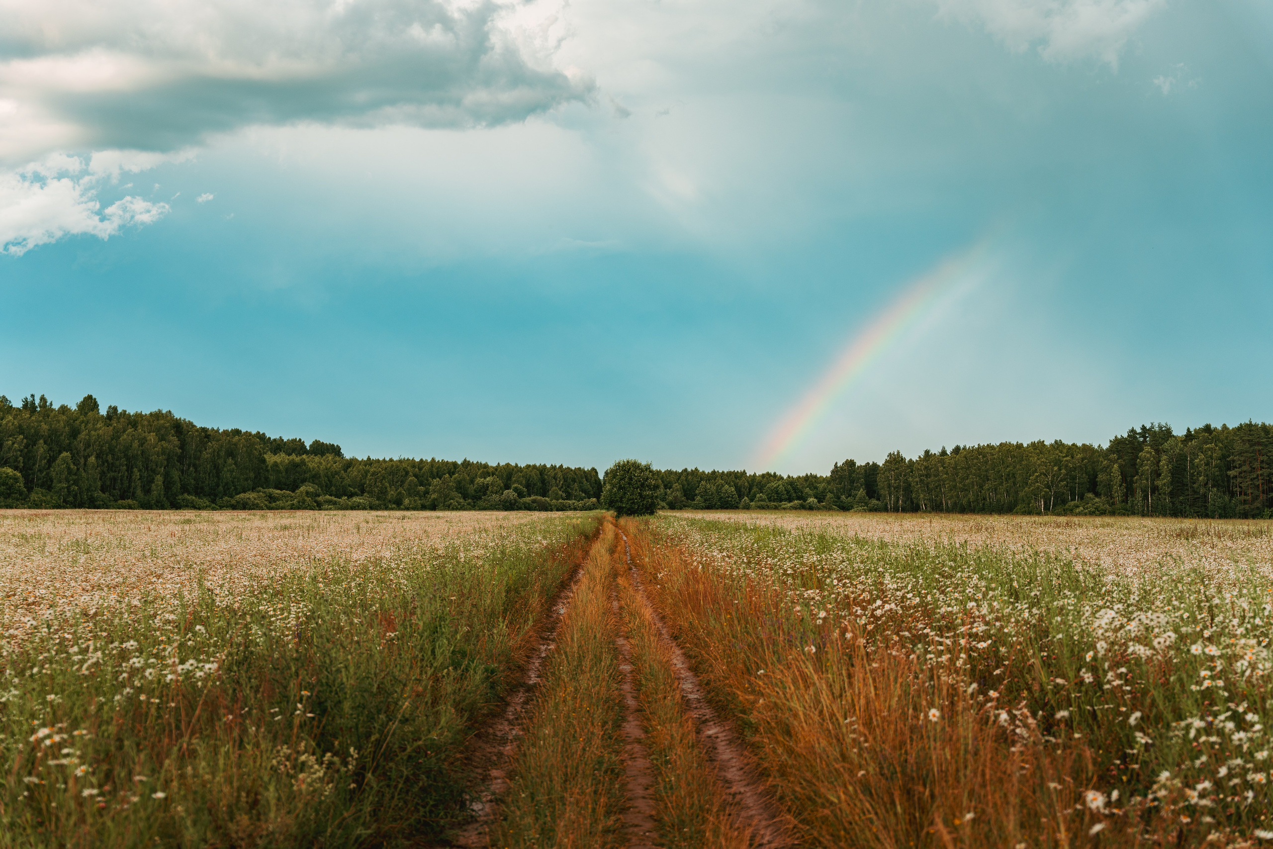 Other. Dmitry Ippolitov