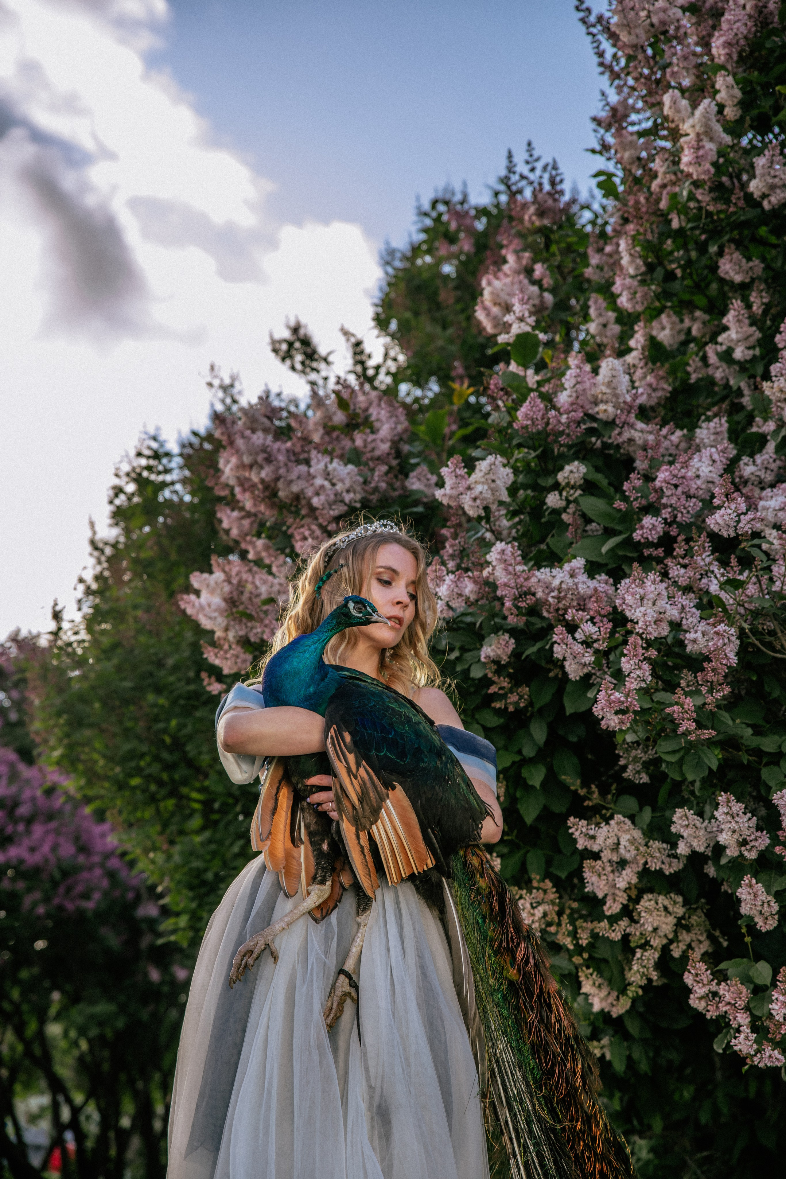 Павлин. Elena Sova — семейный и женский фотограф в Санкт-Петербурге