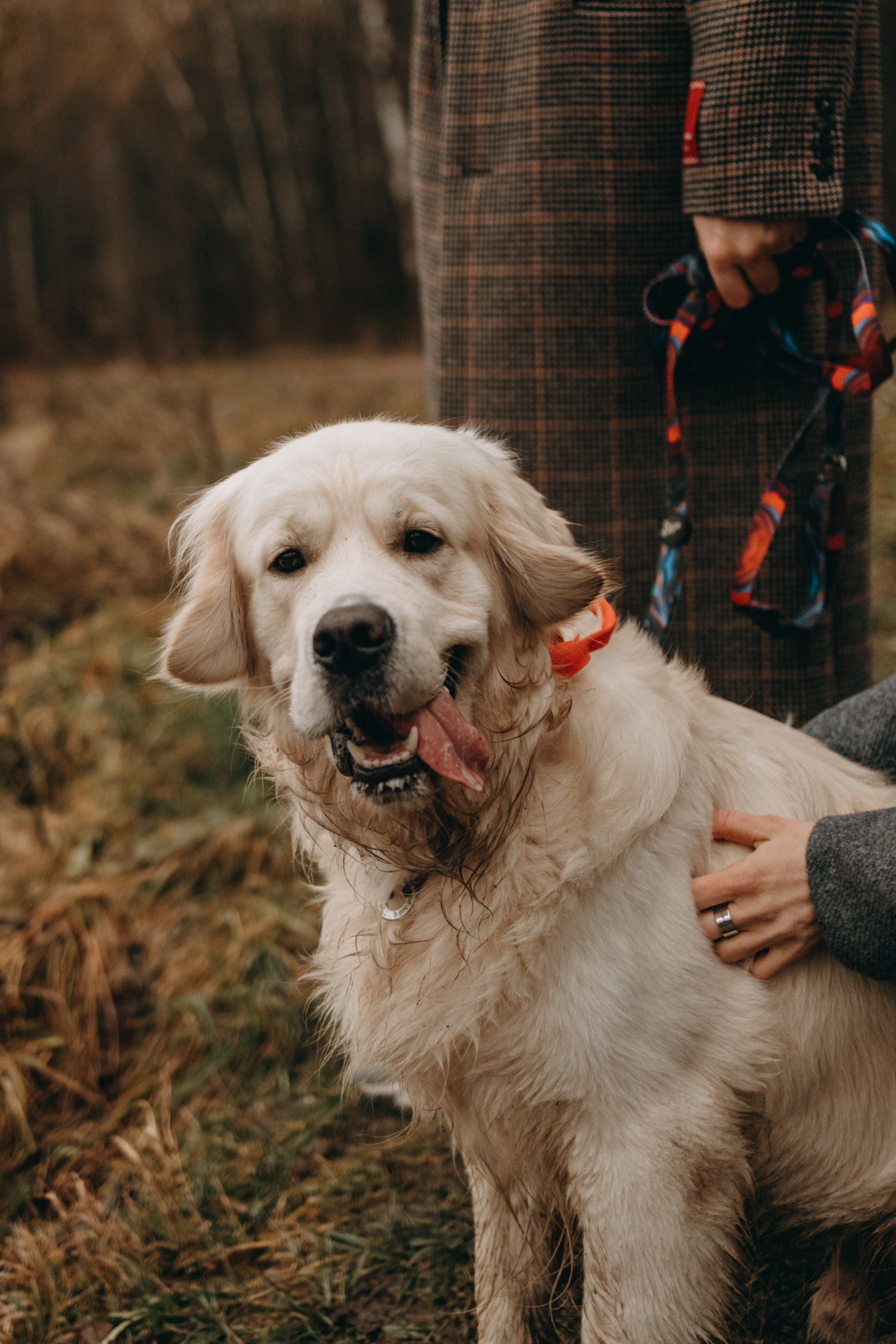 Лаки и его семья. Фотограф — Анималист | Санкт-Петербург